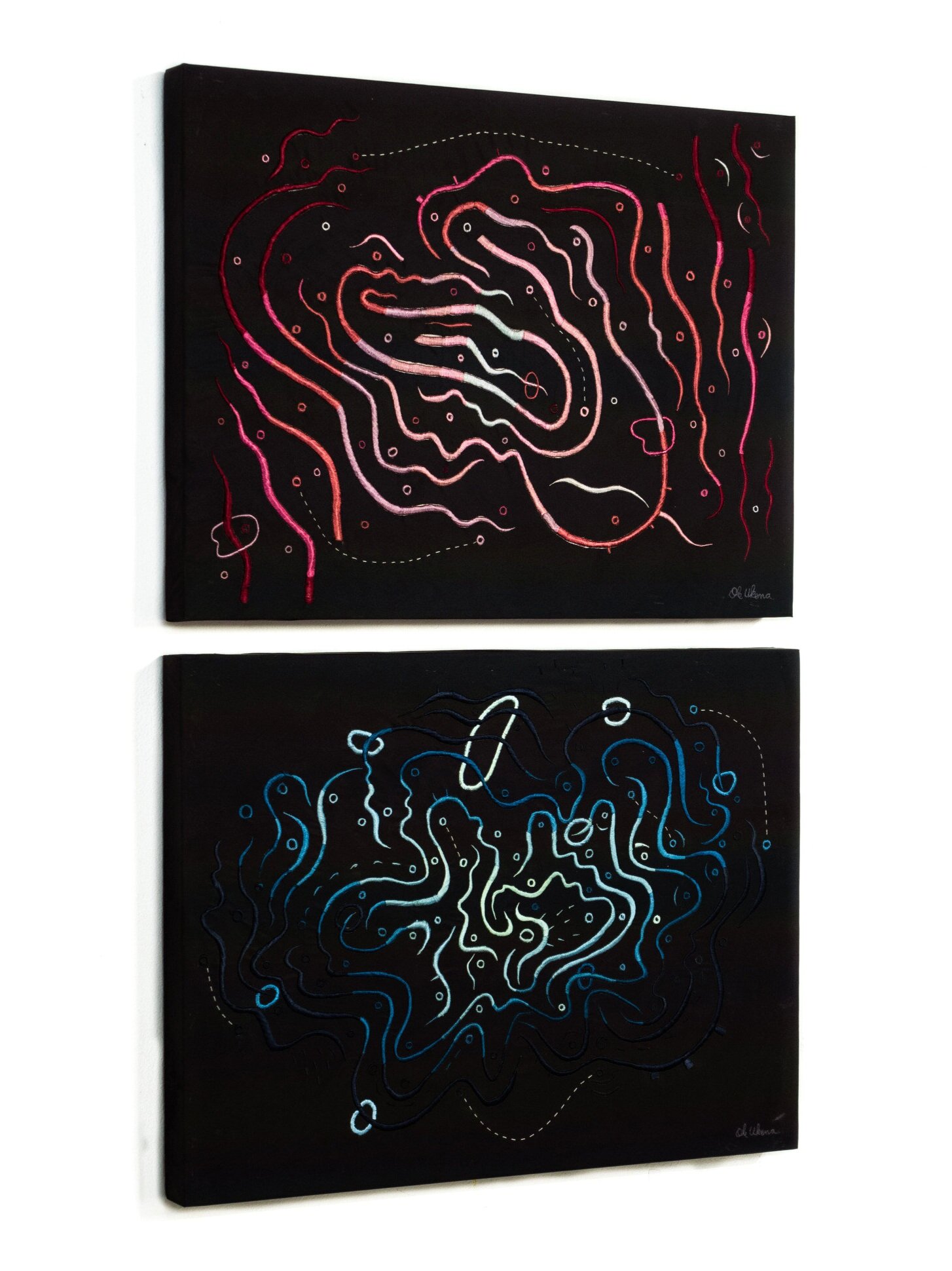 OU2020_Double_Meaning_The_Imaginary_Distance_Between_Microbes_And_Stars_45X60cm_04.jpg