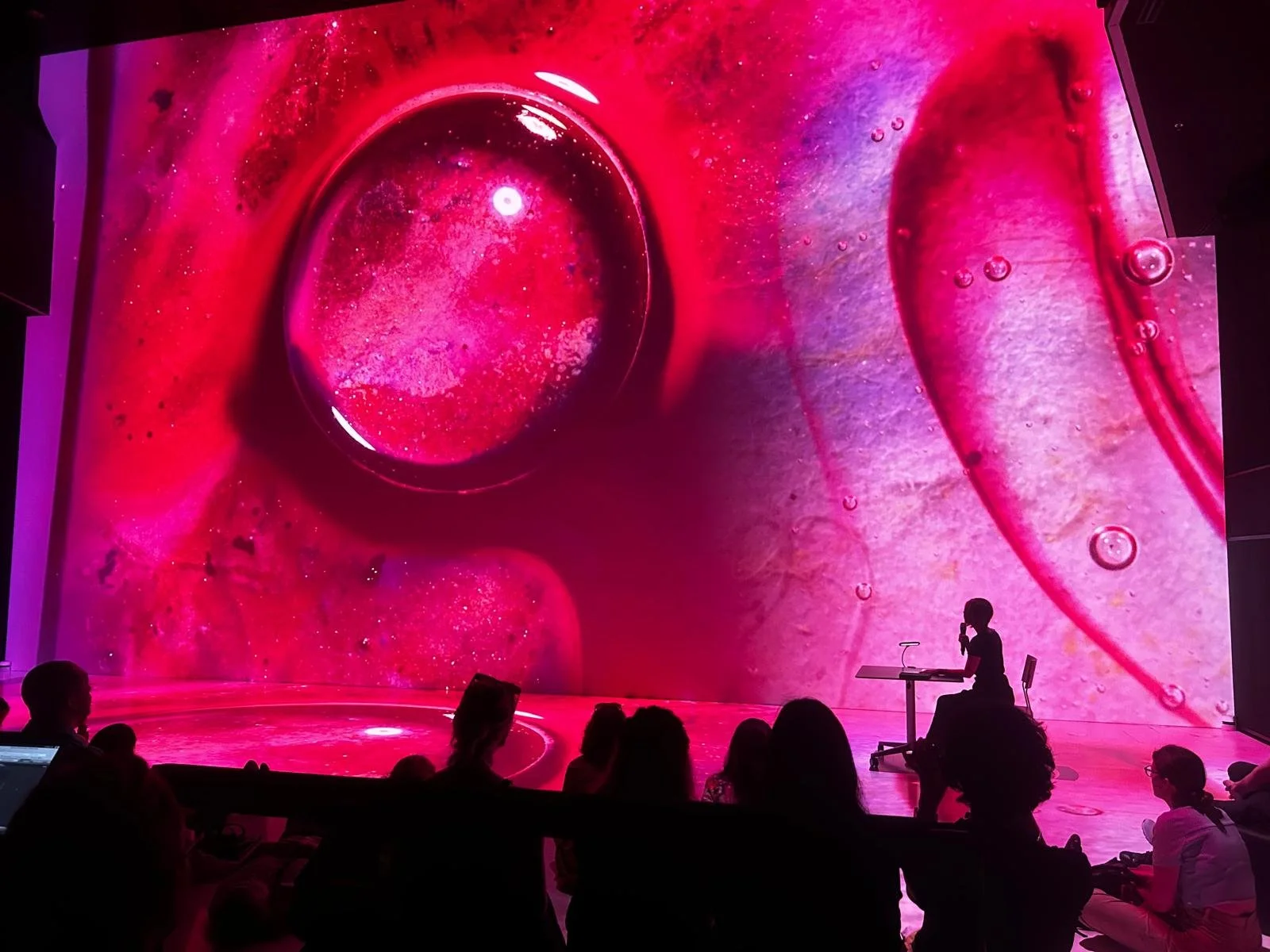 WhatsApp Image 2026-02-08 at 13.37.56 (6).jpeg