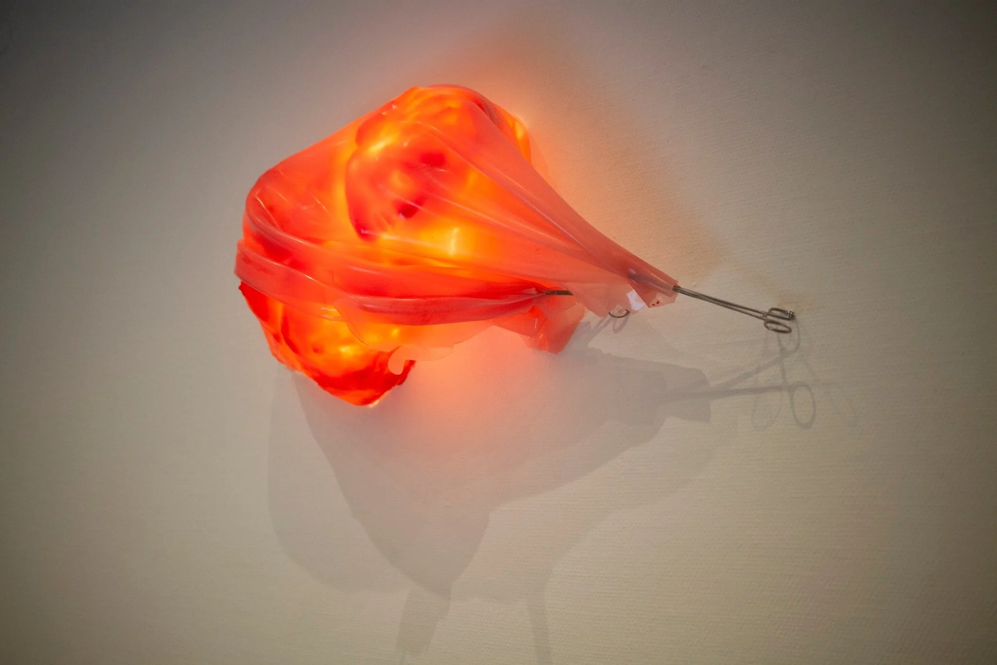 i looked my best 6.jpg