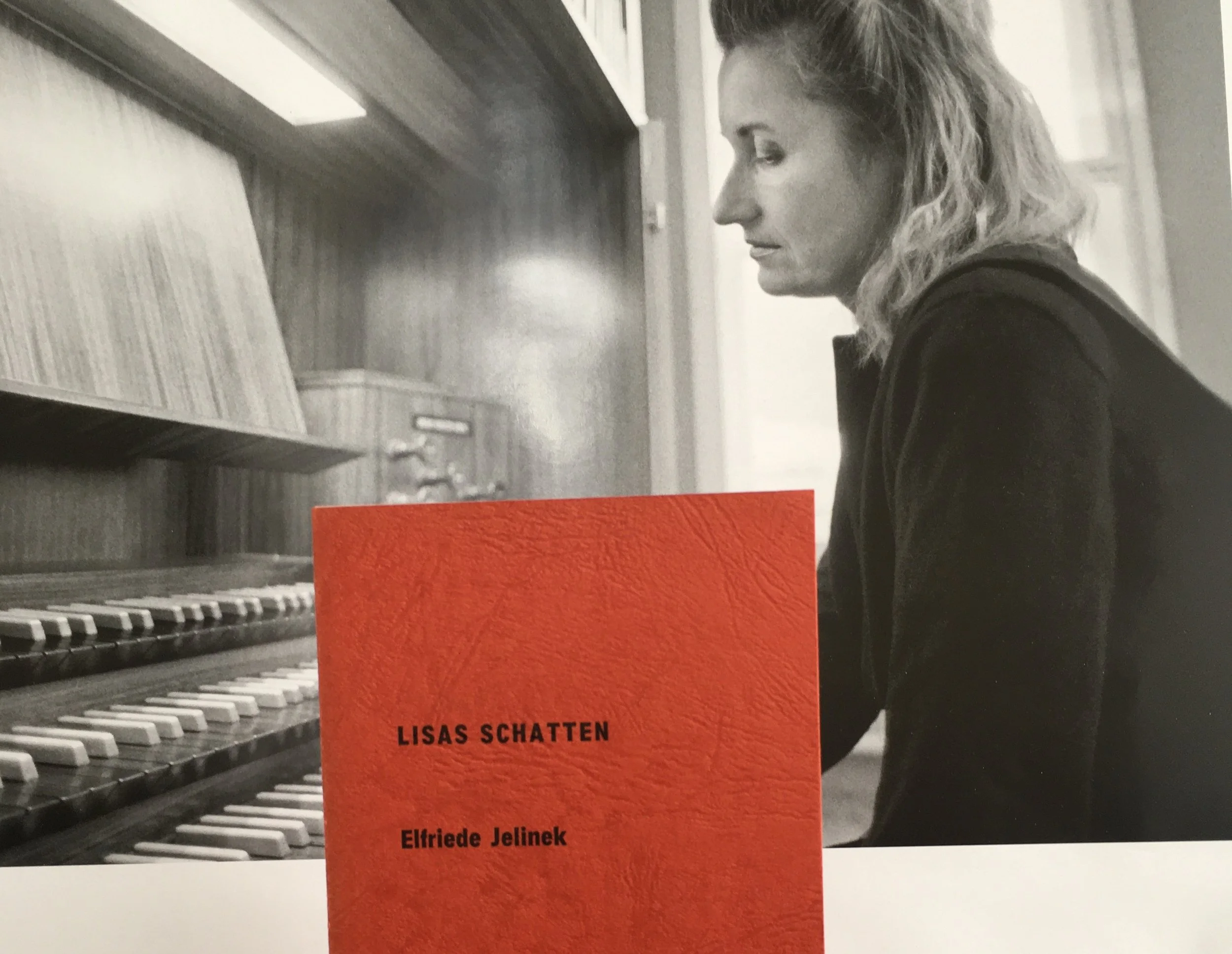 LYRIK VON ELFRIEDE JELINEK IN RUMÄNISCHER ÜBERSETZUNG