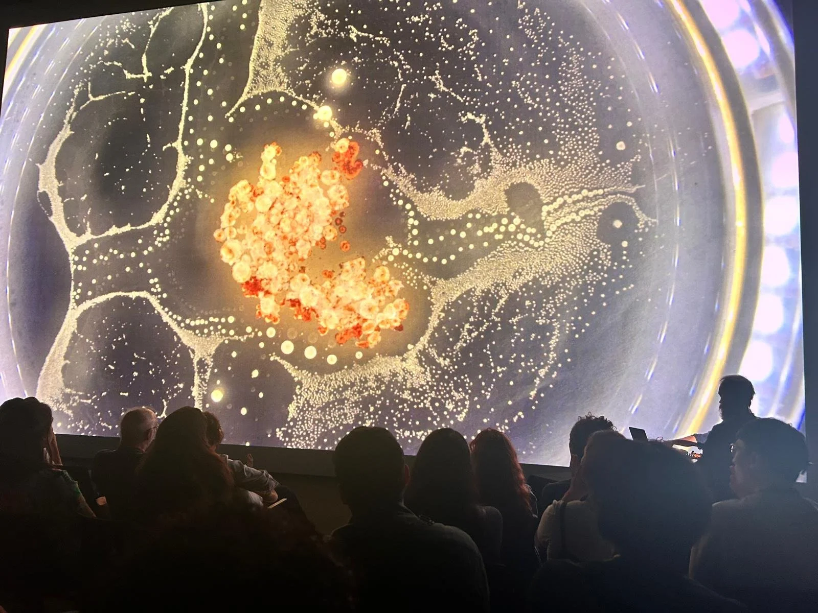 WhatsApp Image 2026-02-07 at 17.57.26.jpeg