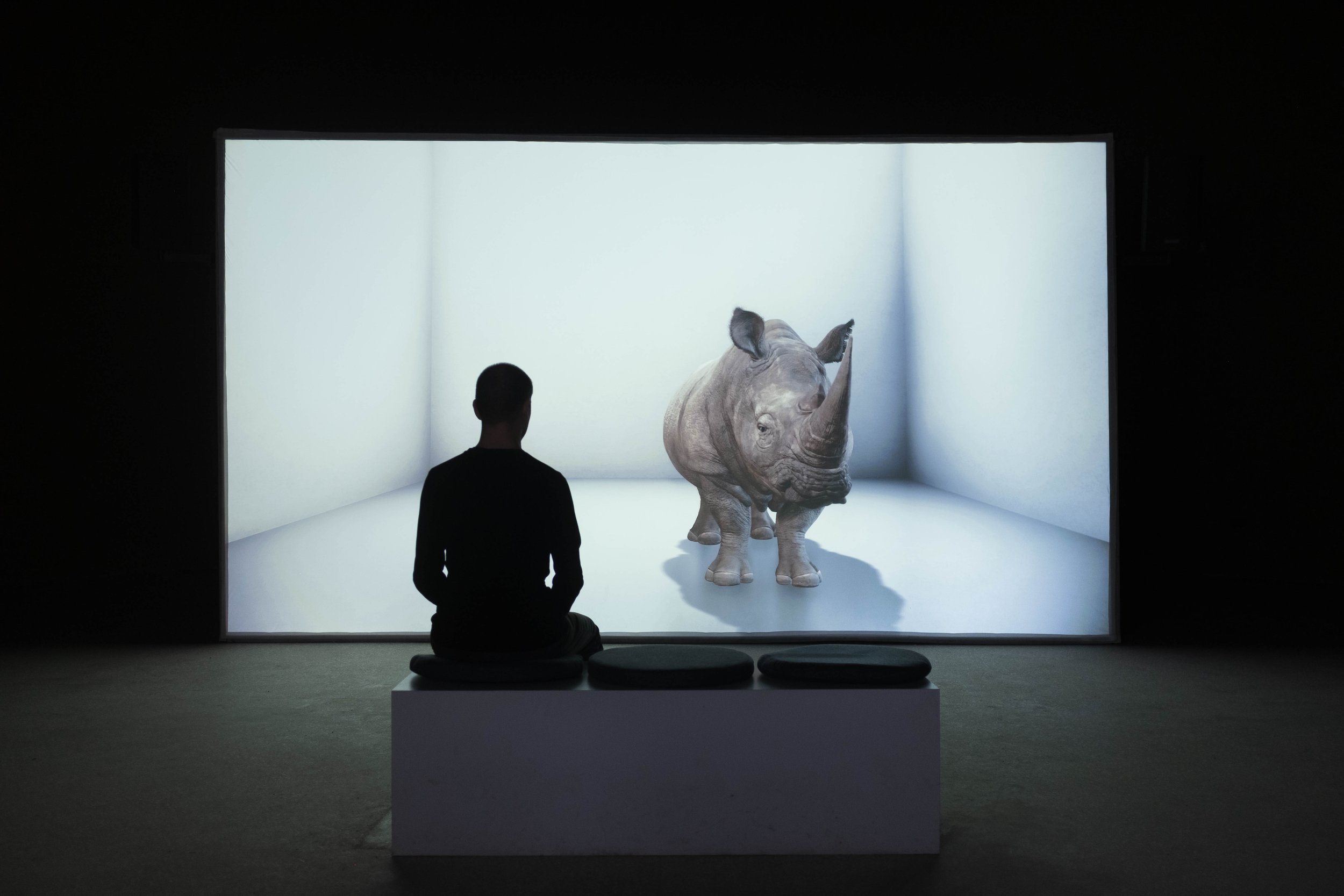 Photo: Göktuğ Güntav / Piksel. Creative Solutions / artwork:  The Substitute