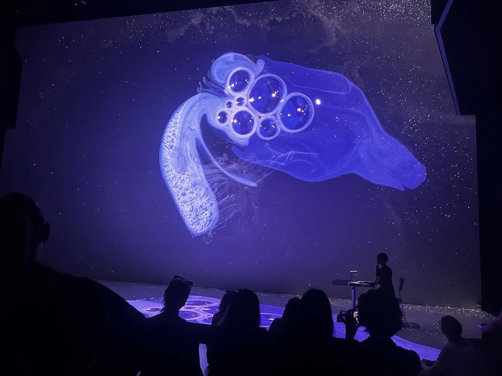 WhatsApp Image 2026-02-08 at 13.37.56 (4).jpeg