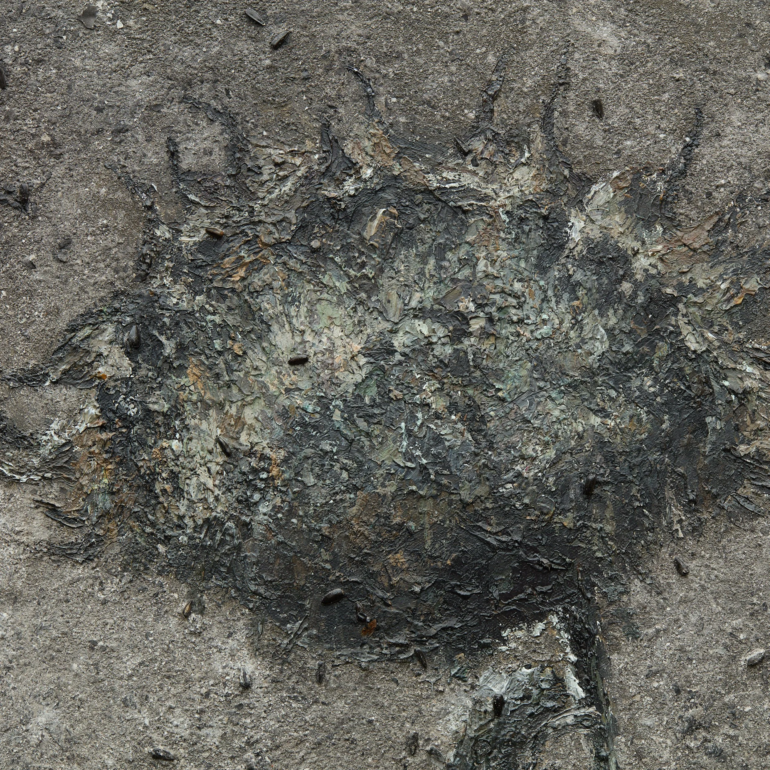 Nearby2-Amir1436-R-detail.jpg