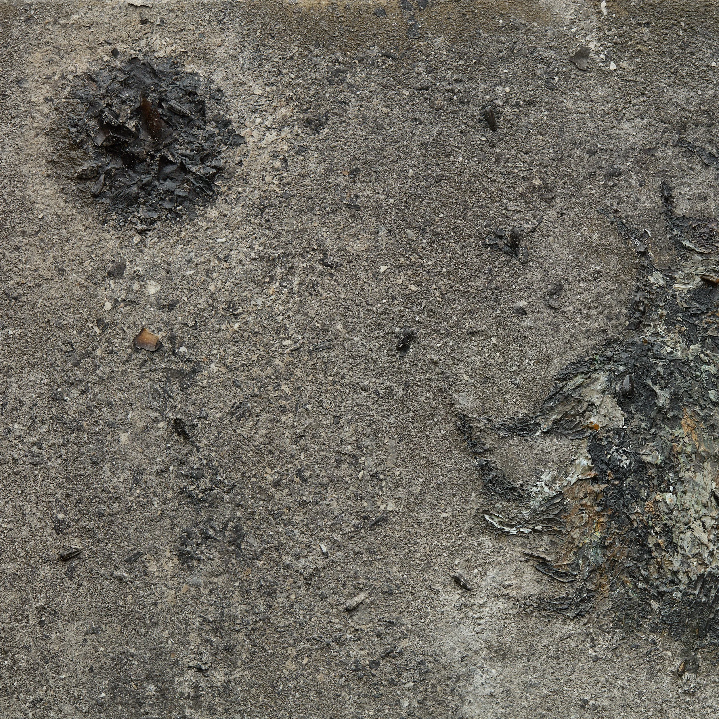Nearby2-Amir1444-R-detail.jpg