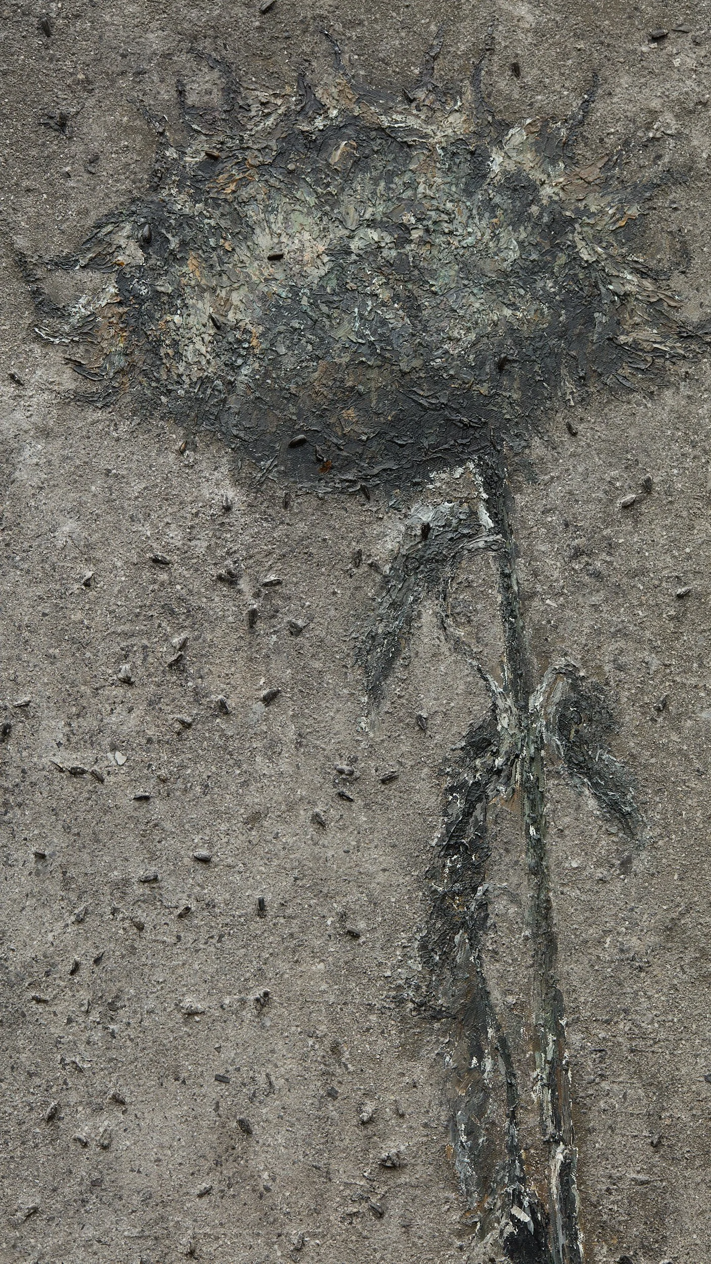 Nearby2-Amir1449-R-detail.jpg