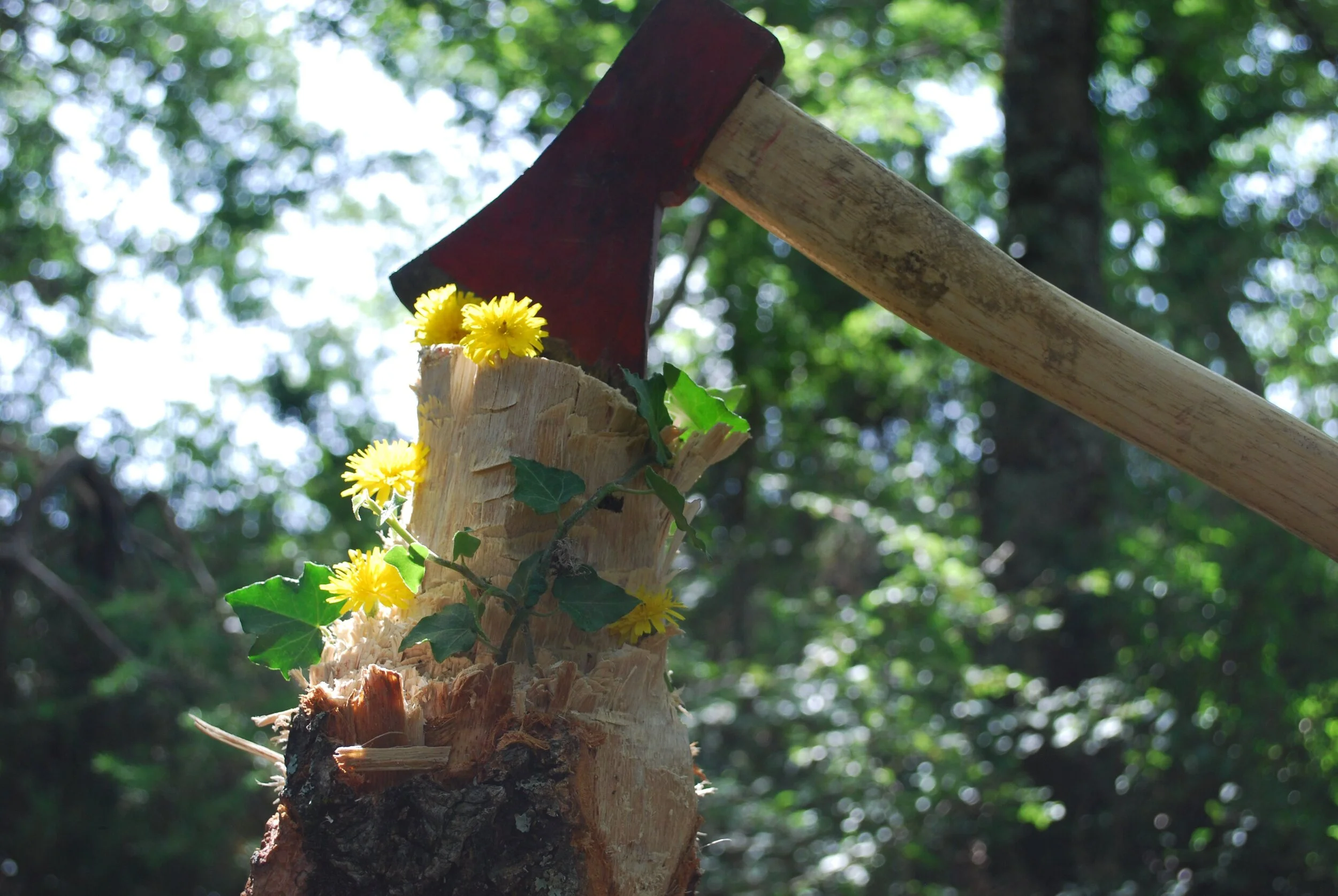 How sharp is your axe?