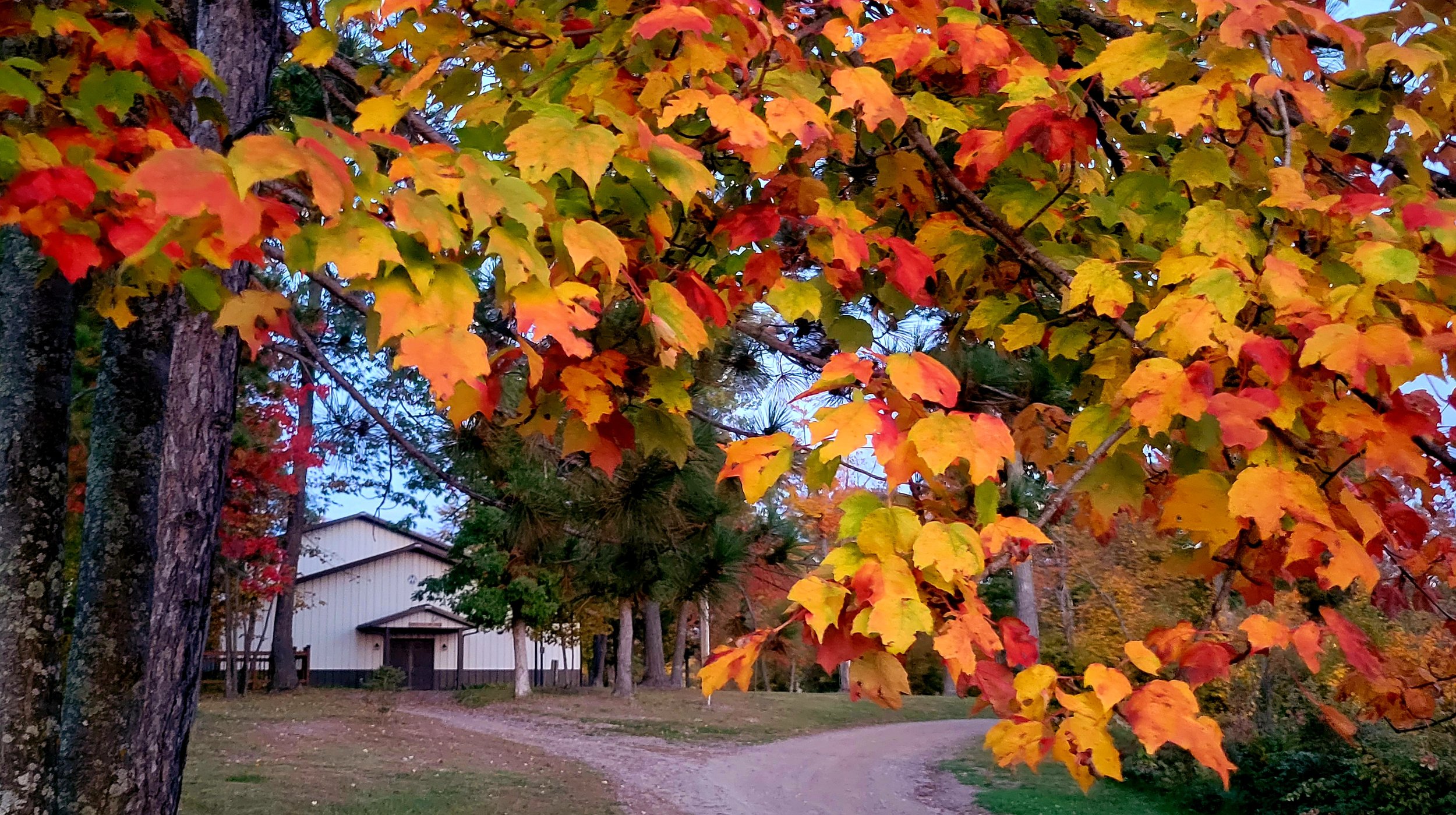 Ladies Retreat Weekend