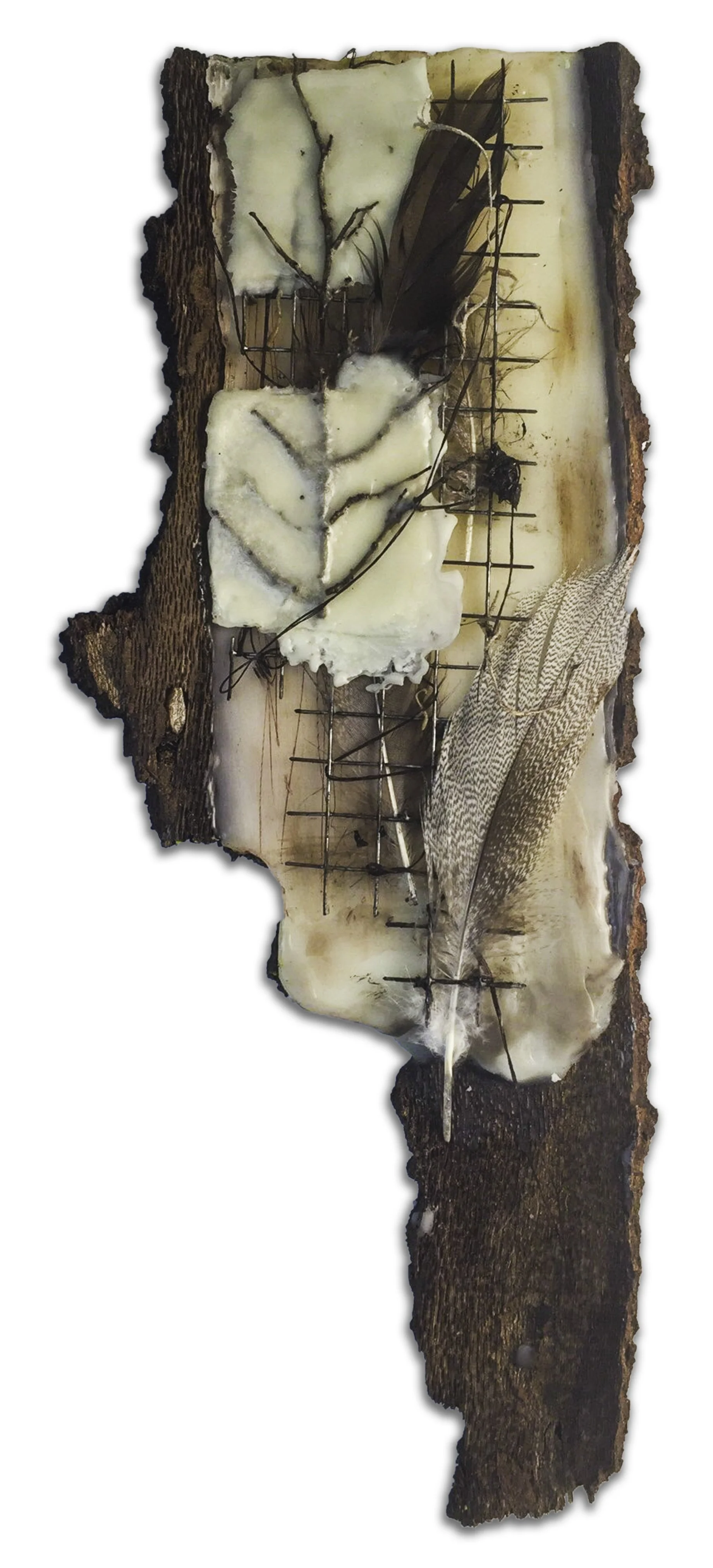 Twig, 2014;
encaustic, bark, wood, feather, metal, paper, oil;
14” x 6”;
ENB-14-003;
$1,200