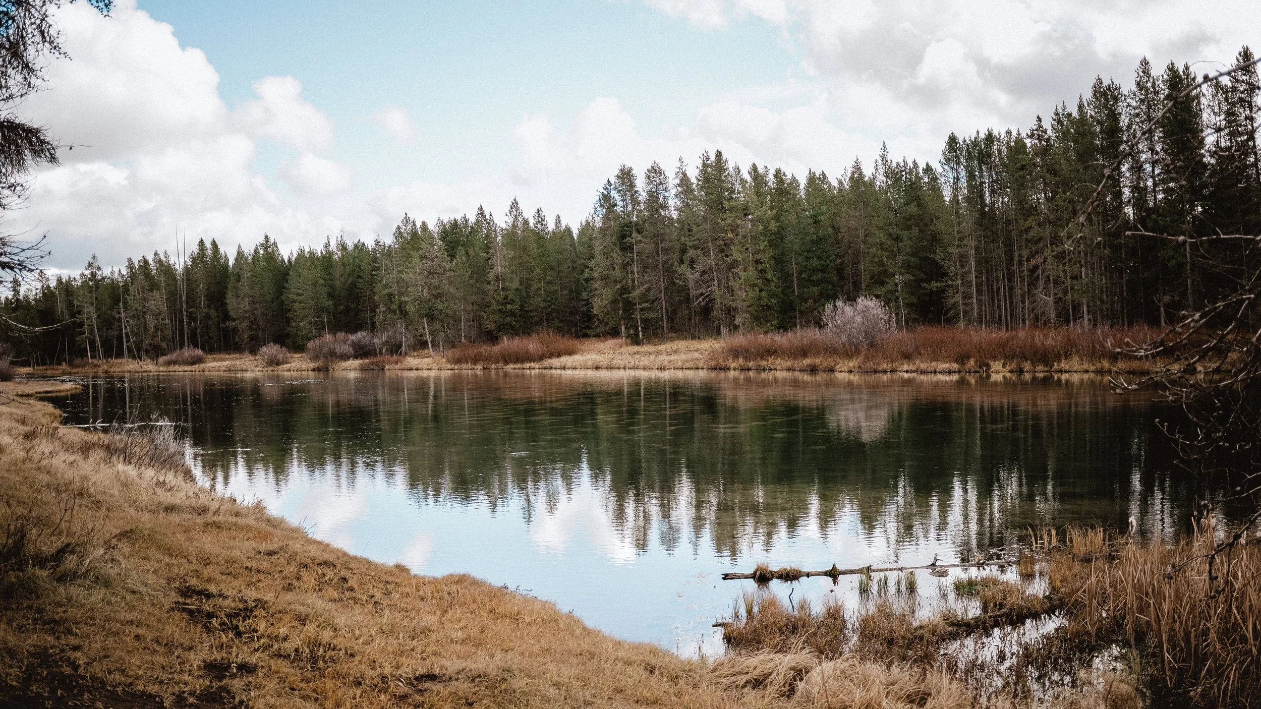 Medium Format - Fuji GA645 Pro