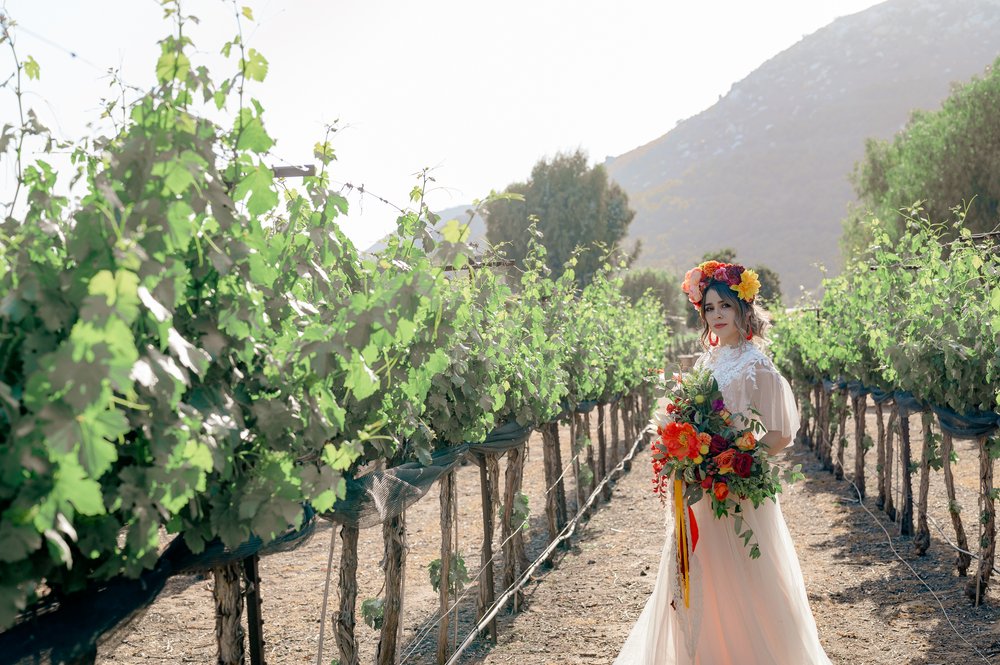 Fiesta+Bride-Rancho+Guejito+Winery-Mariela+Campbell+Photography75.jpg