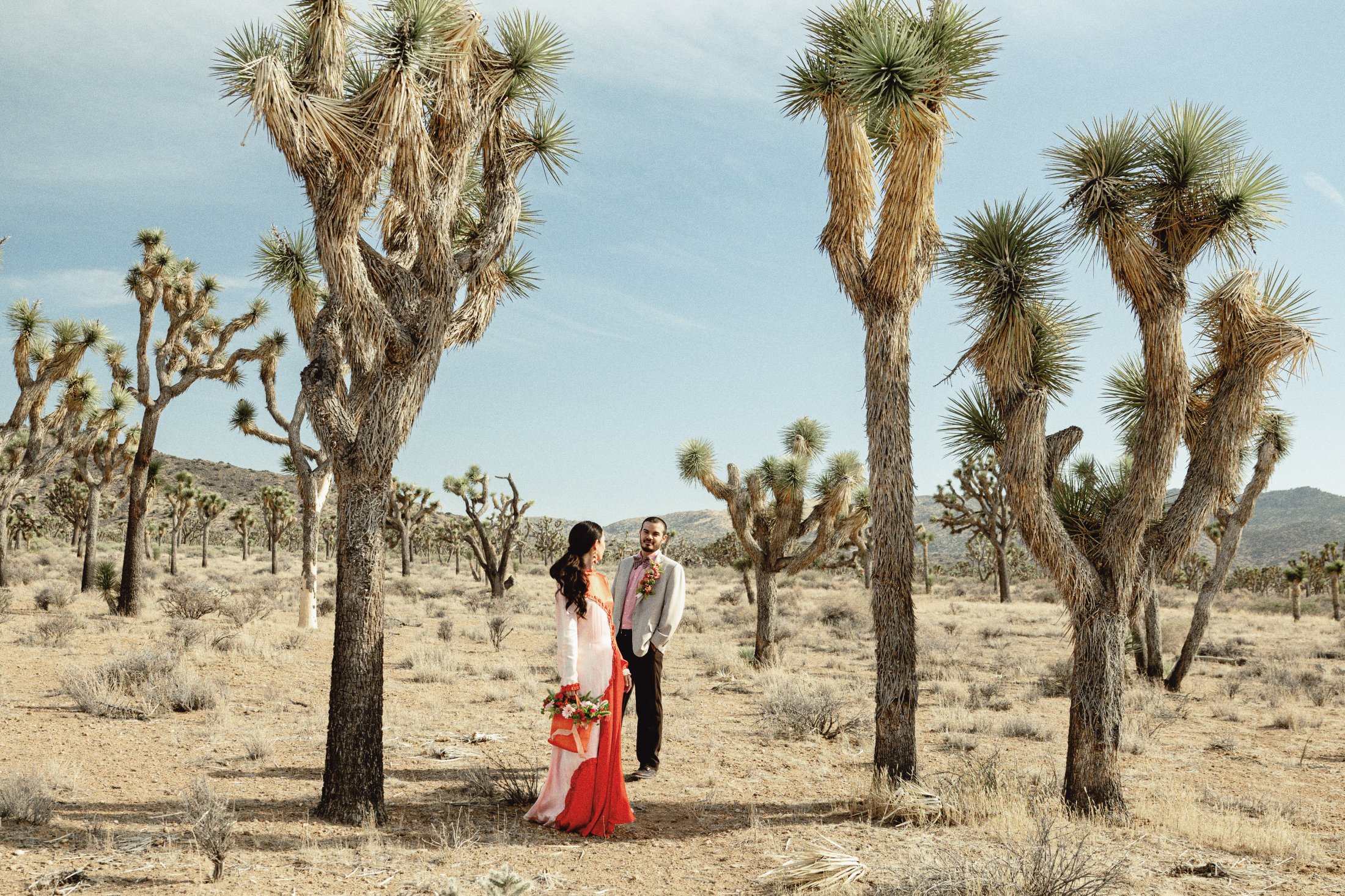 Joshua+Tree+National+Park+Elopement+Mariela+Campbell+photography-55.jpeg