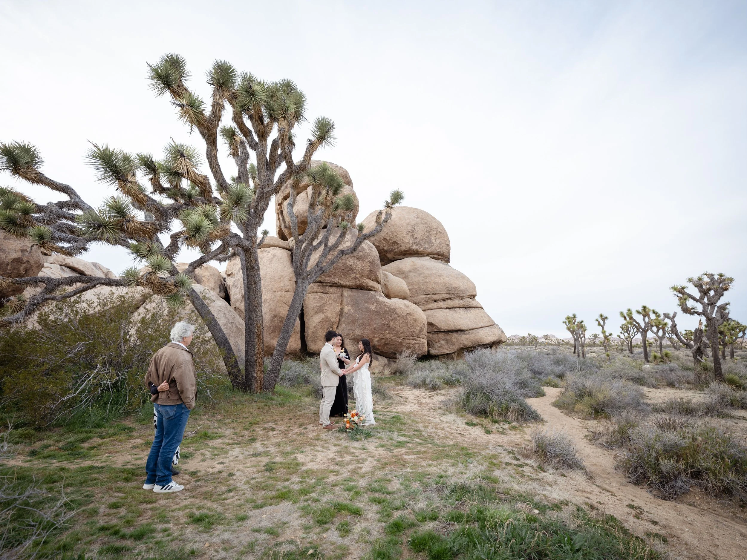 "Wide shot of intimate elopement ceremony at Joshua Tree with family witnesses"