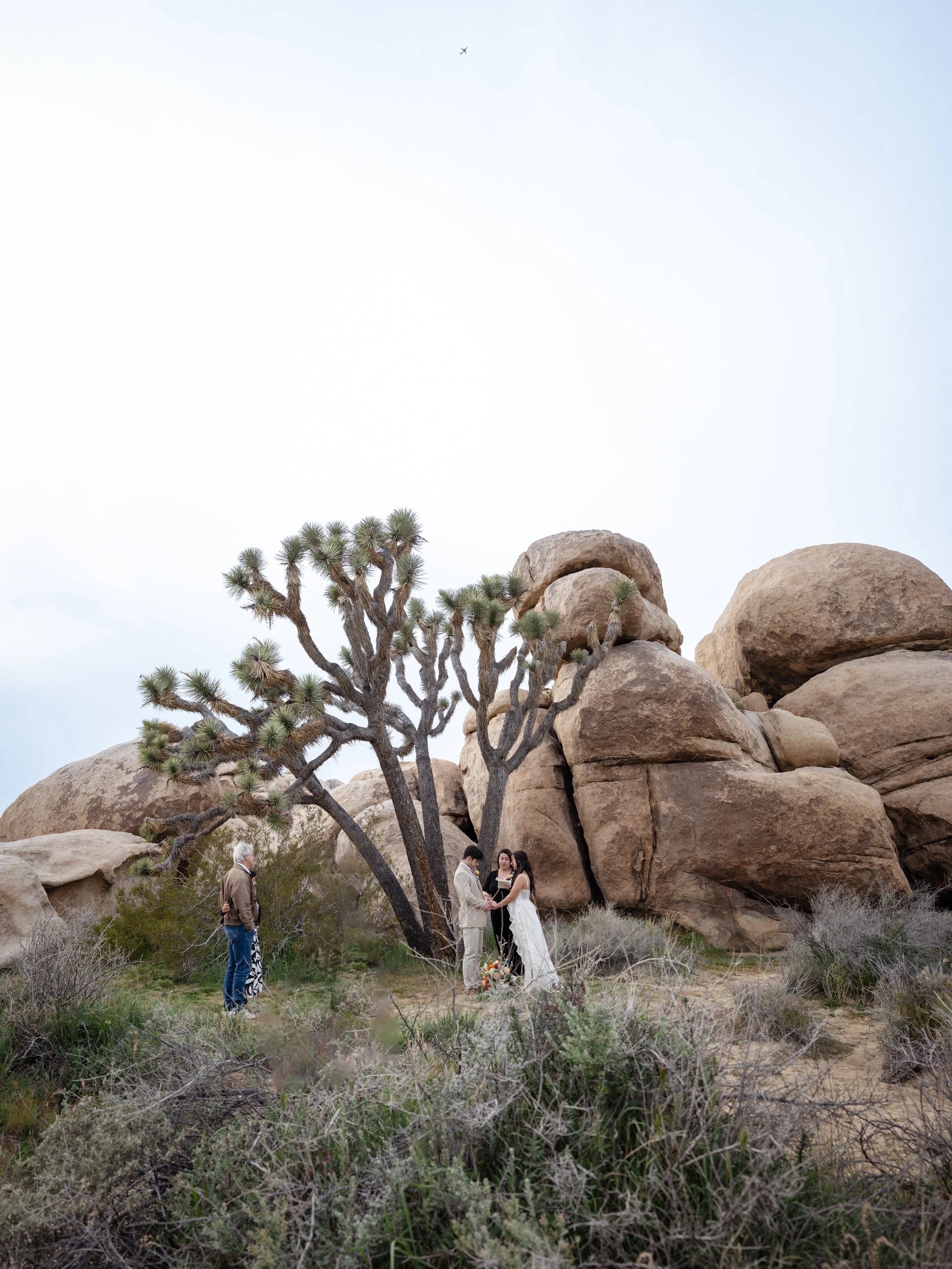 "Couple exchanging vows during Joshua Tree National Park elopement with officiant"
