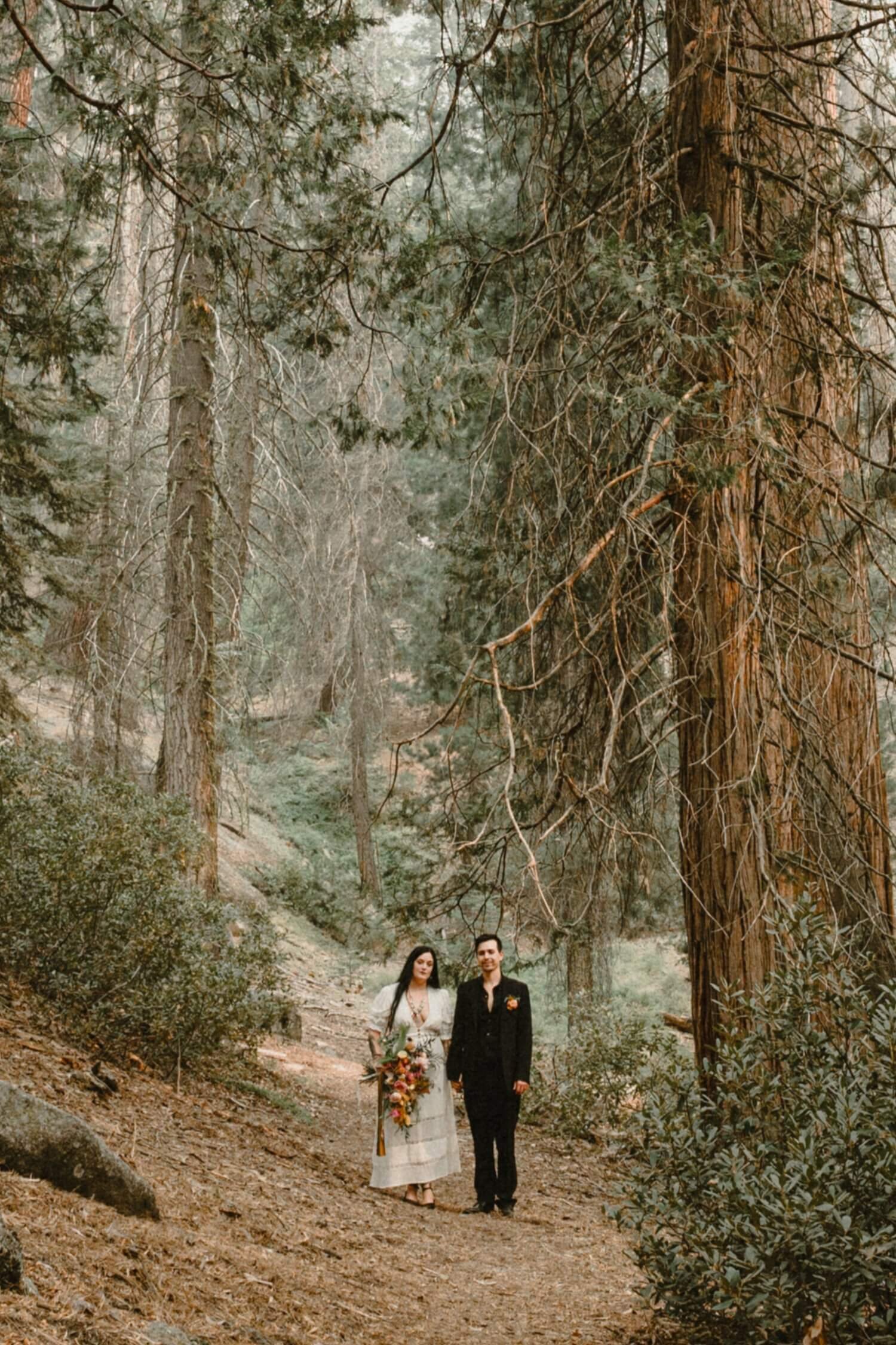 Elope in the Emerald Cathedral: Redwood National and State Parks Elopement Photography with Mariela Campbell