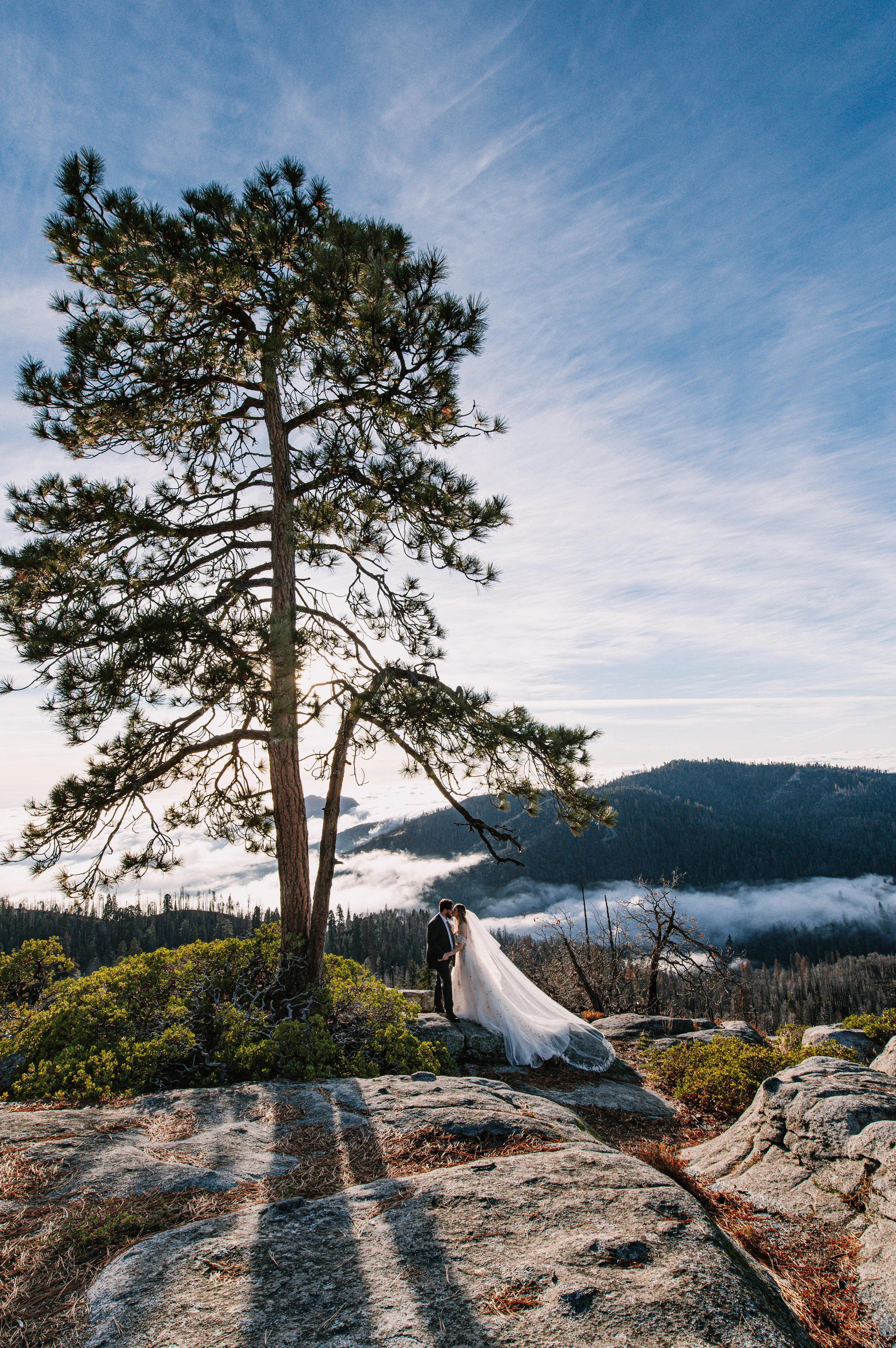 Sequoia National Park Elopement Portraits - Destination Photographer