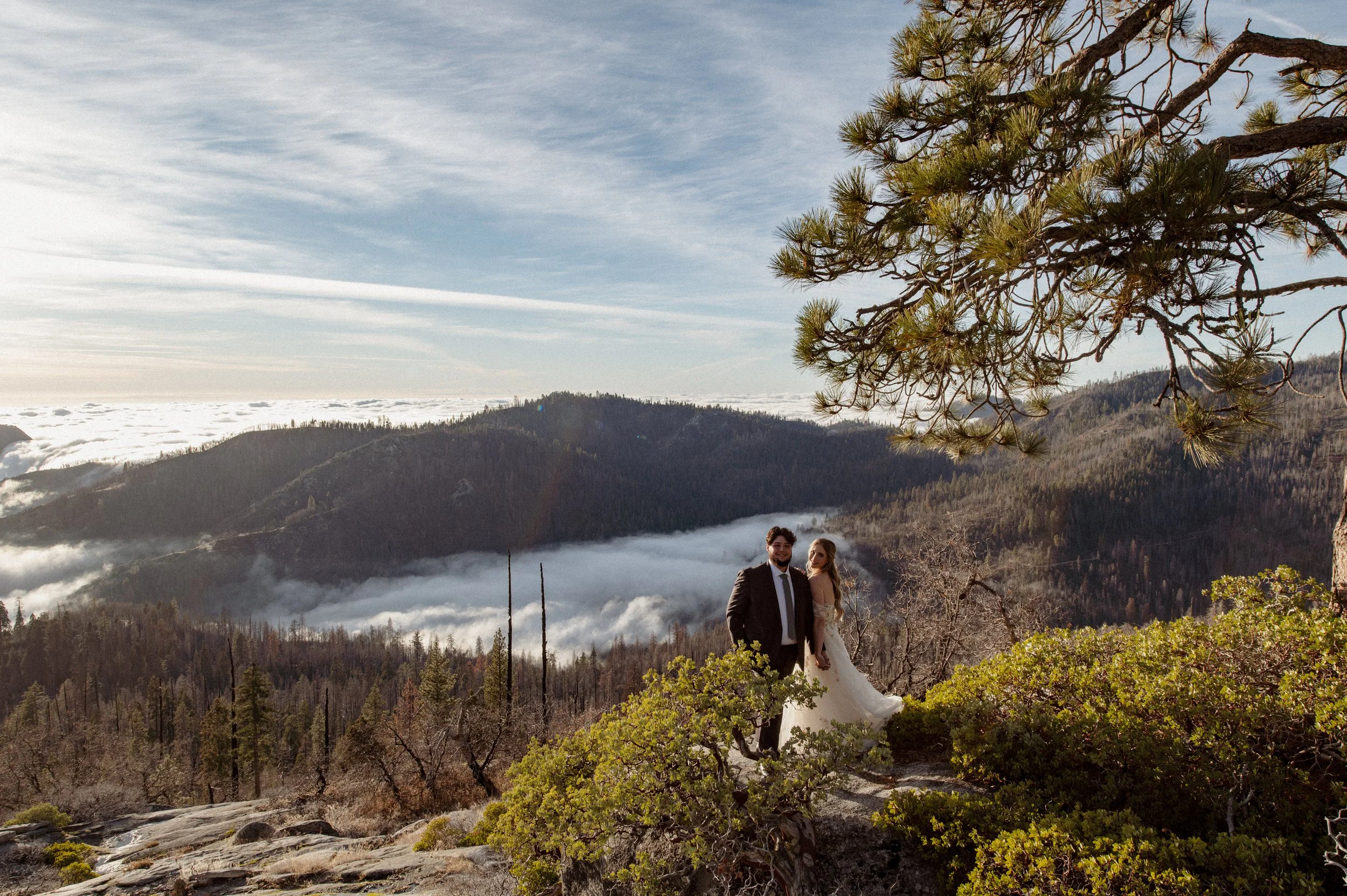Medium Format Film - Sequoia National park Elopement