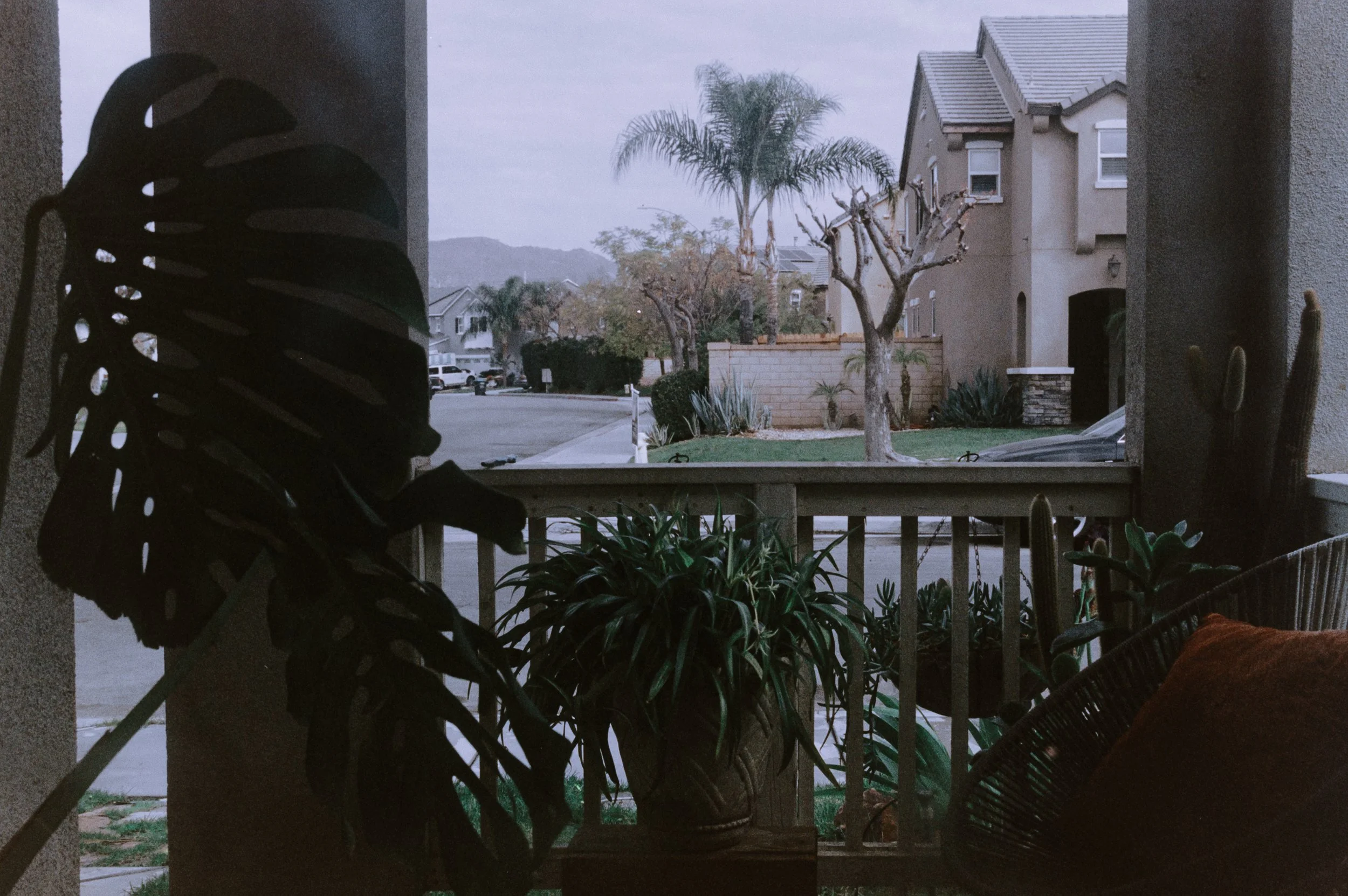 Ektar H35 - 35mm Film 