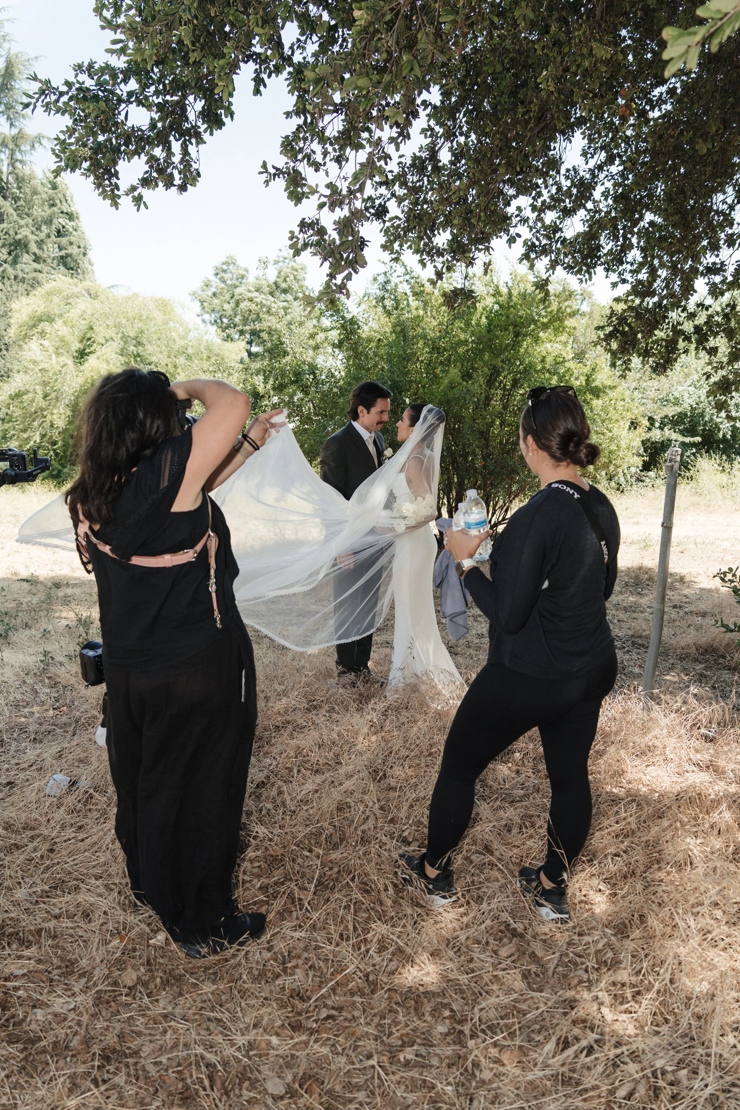 A bride and groom kiss outdoors under a large tree while two women assist with the wedding dress and take photos.