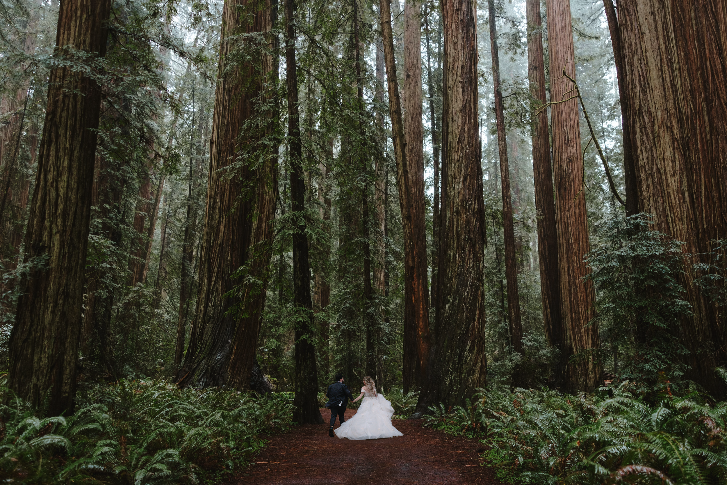 Redwoods - Northern California elopements