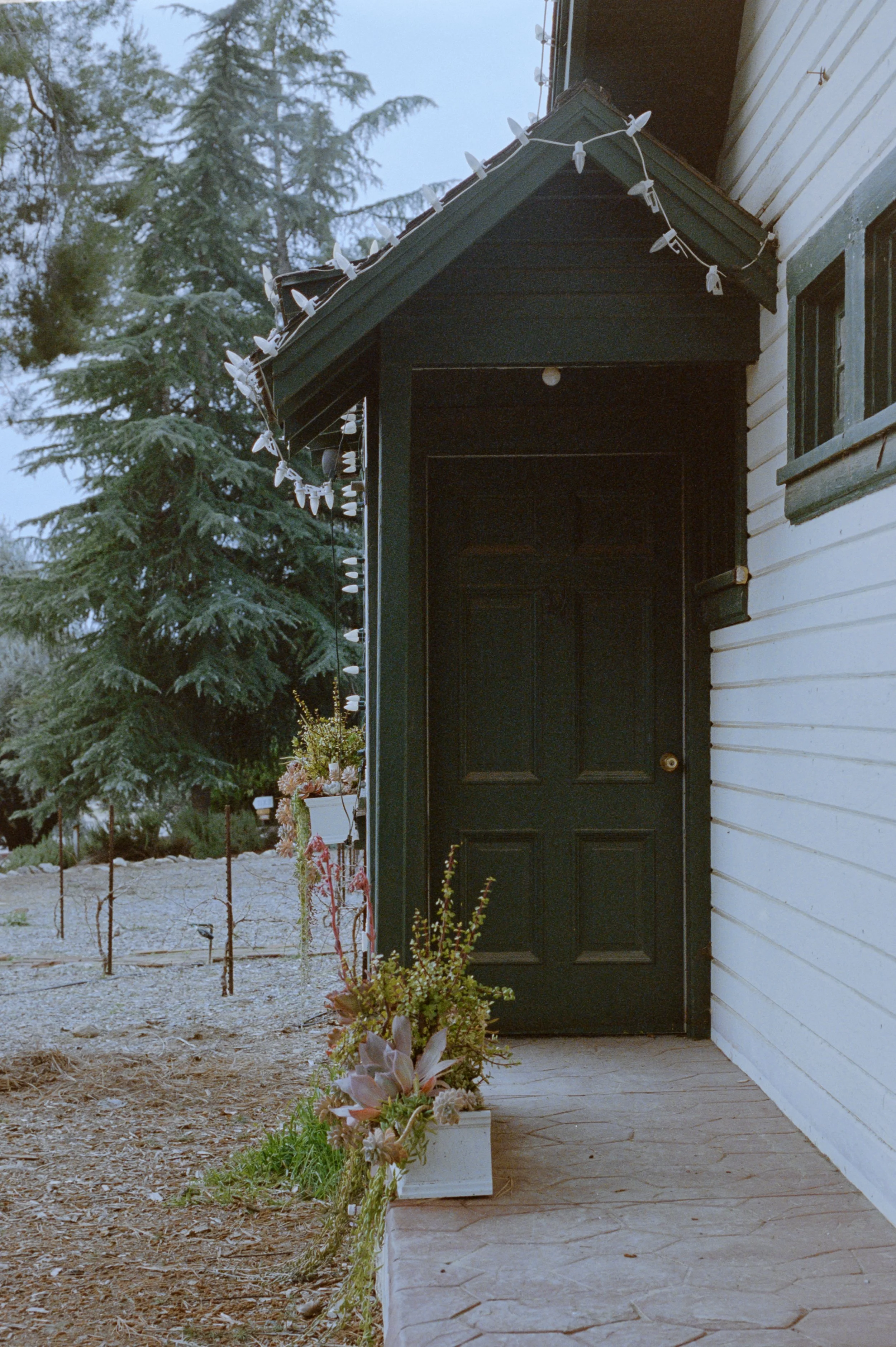 35mm Film - Ektar H35 