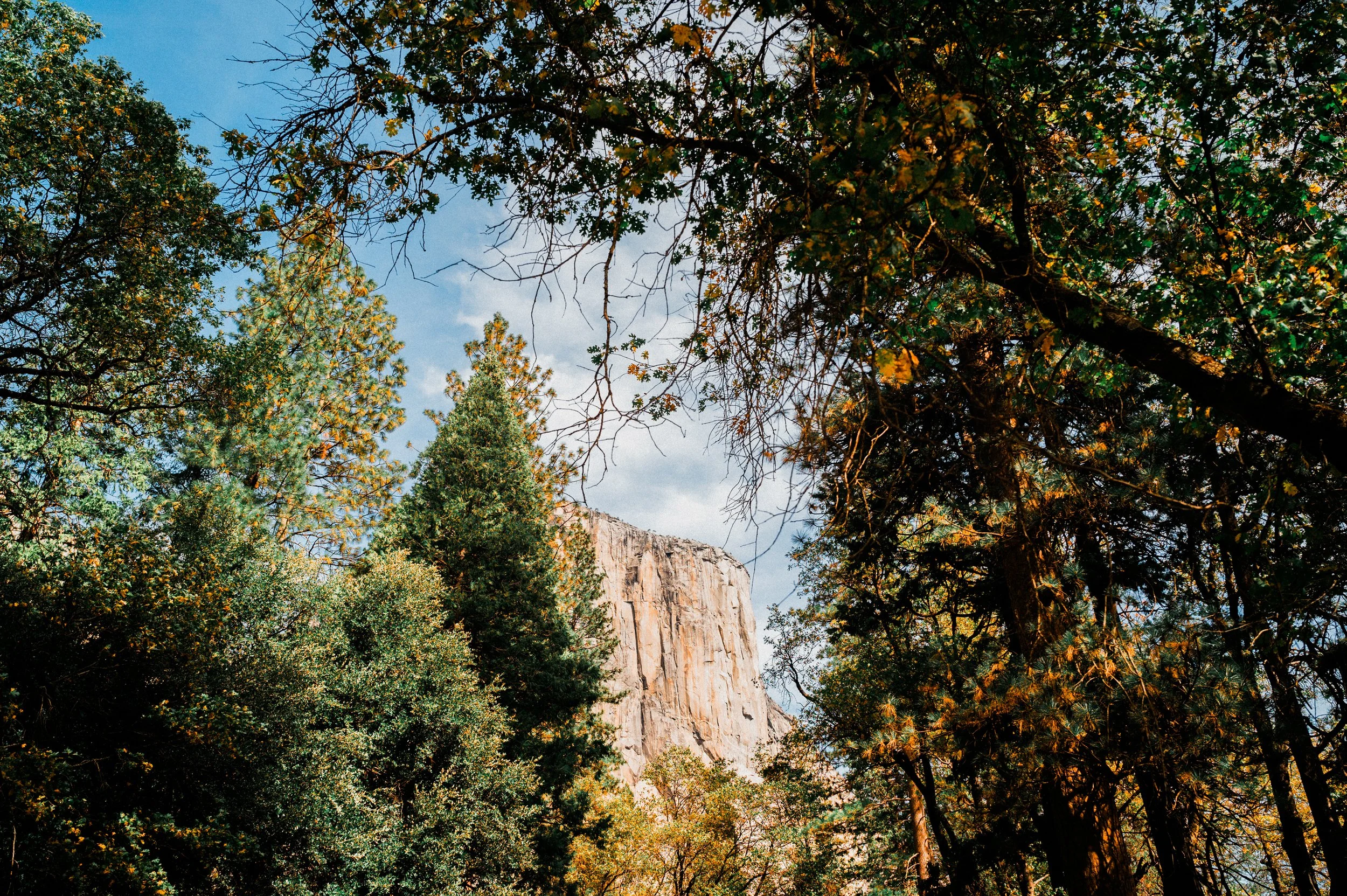 Medium Format - Fuji GA645 Pro