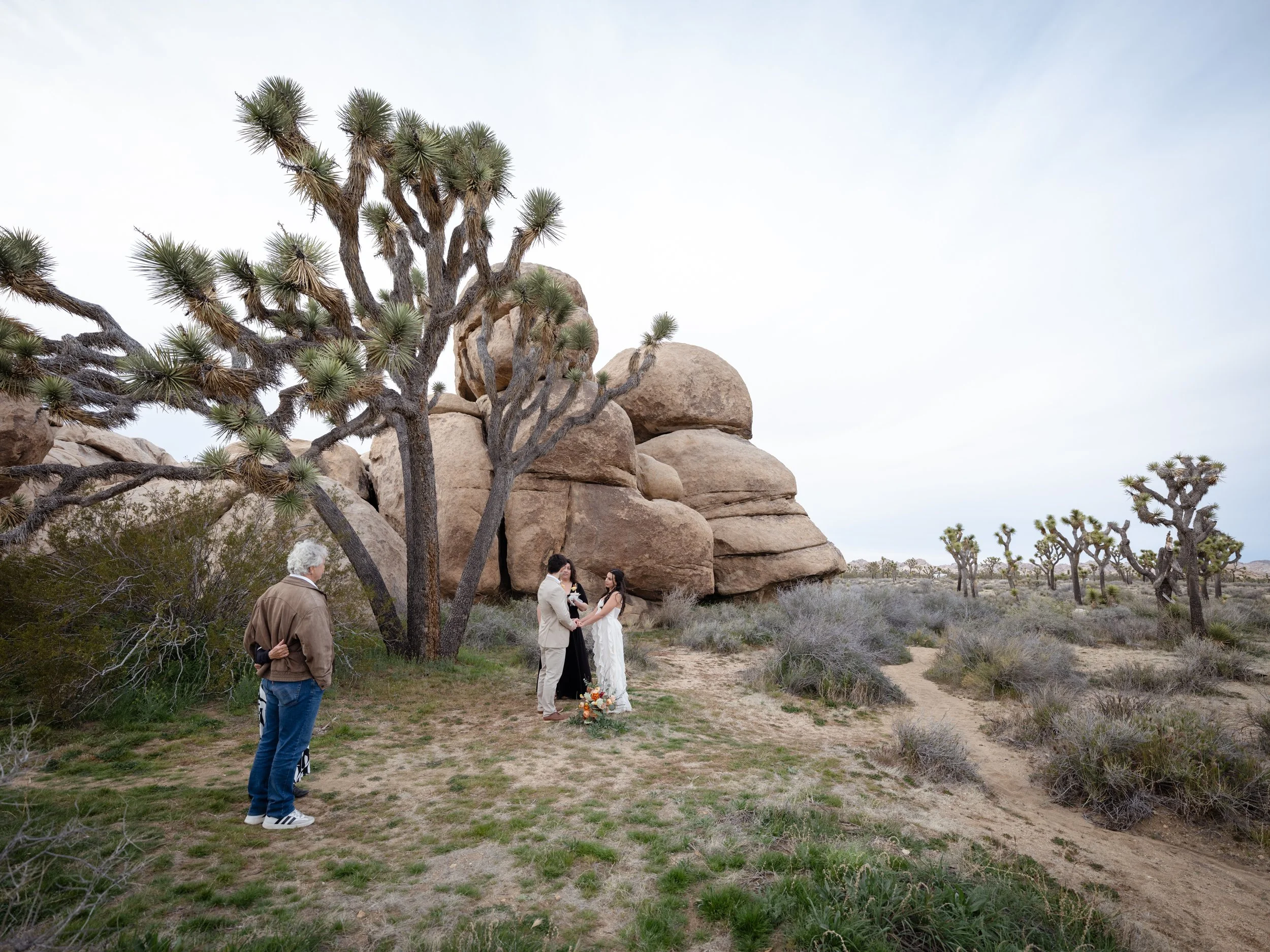 Joshua Tree Elopement Guide: Everything You Need to Know to Get Married Here