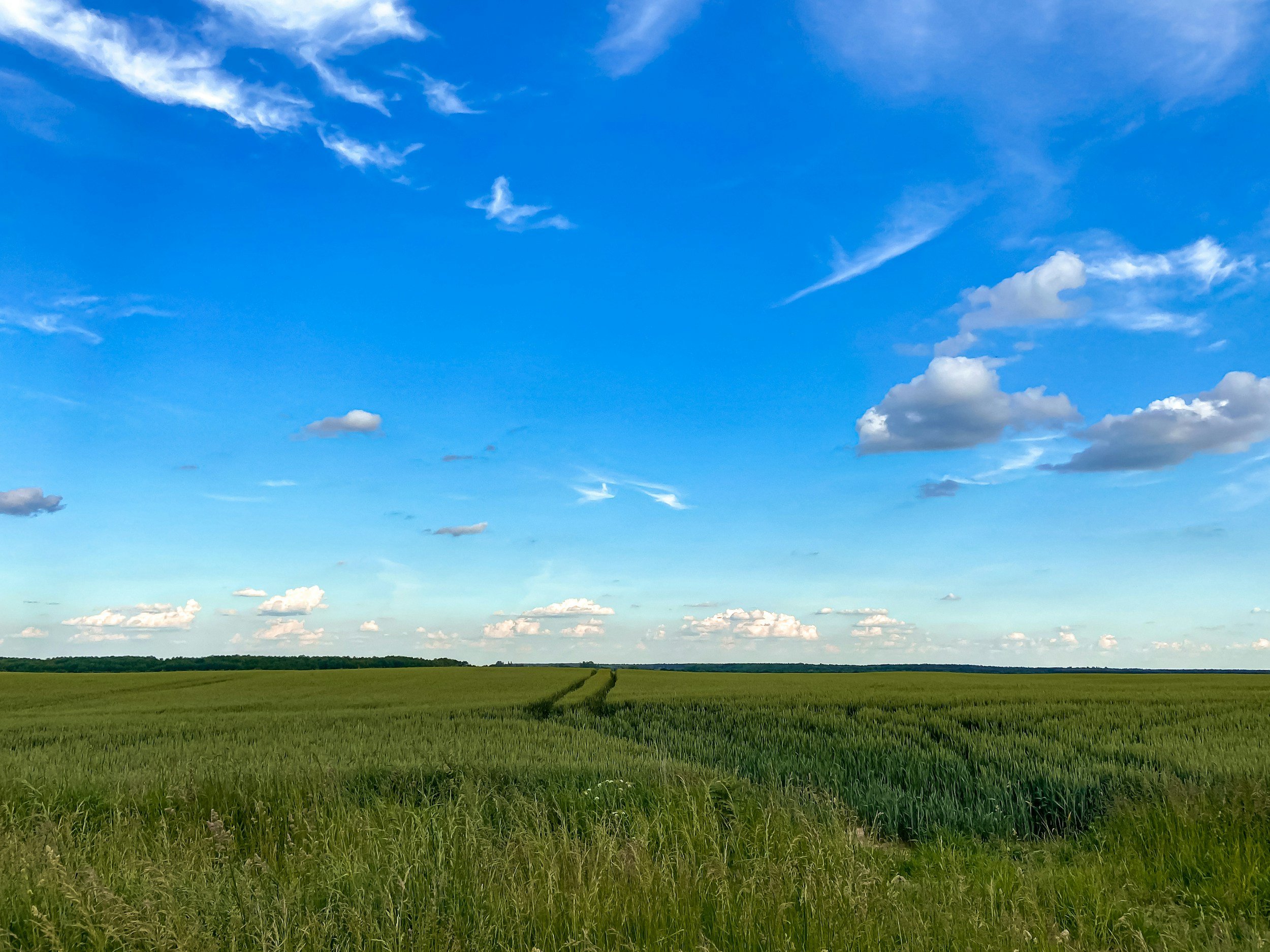 Buying Land in Ontario: What Makes These Purchases Different