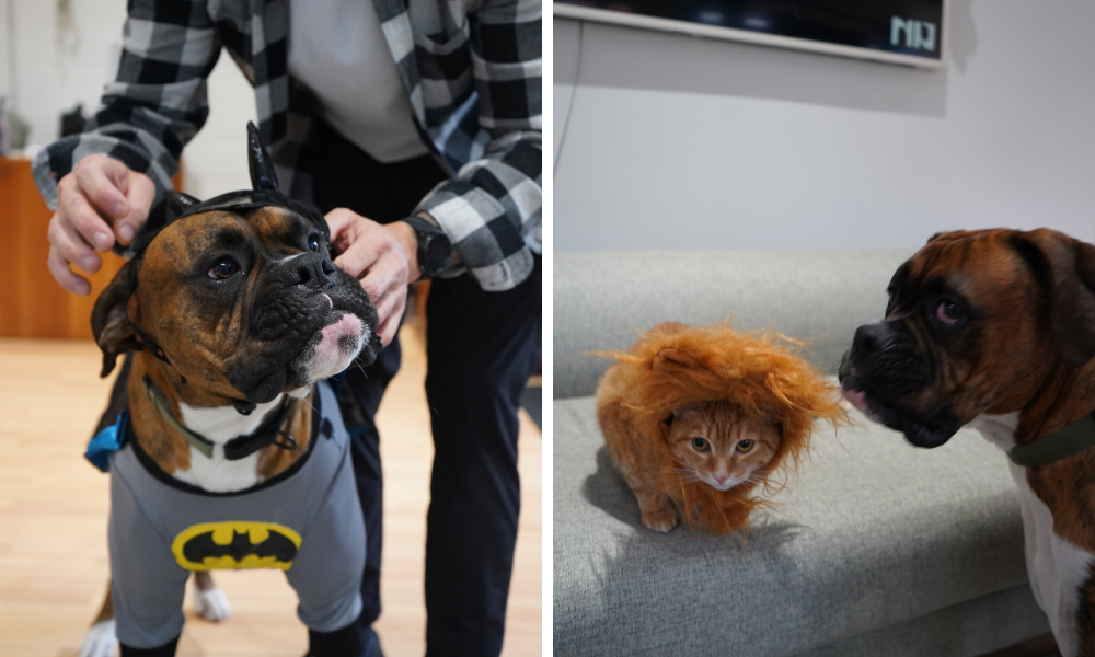 A Recap of October in Ottawa