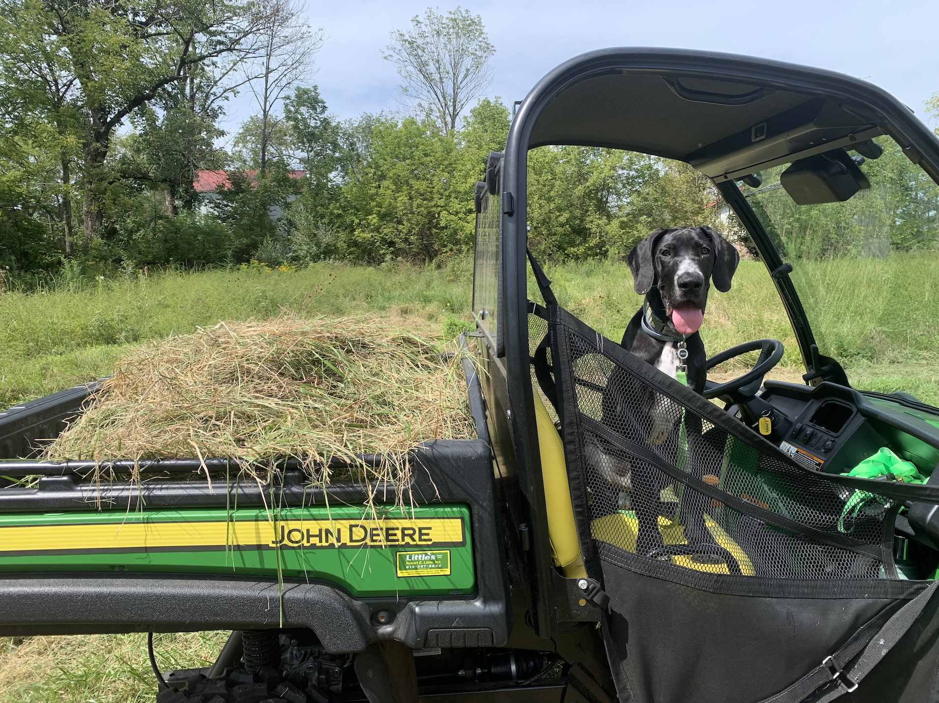 George in the ATV.png