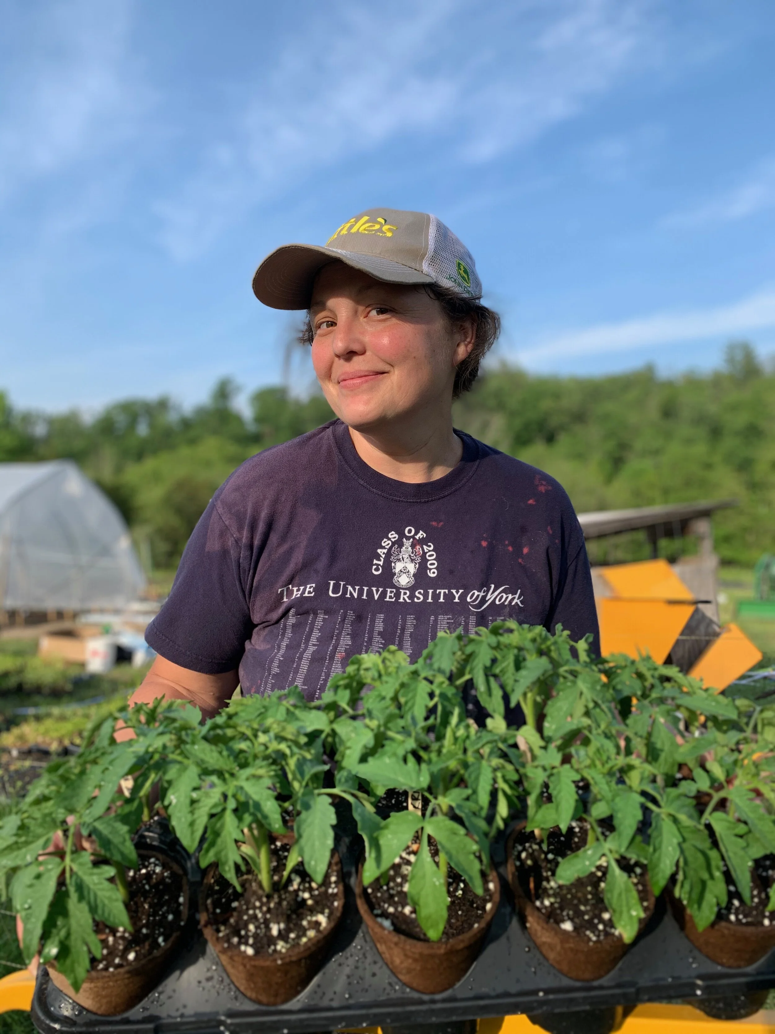 holding the plants for market.jpeg