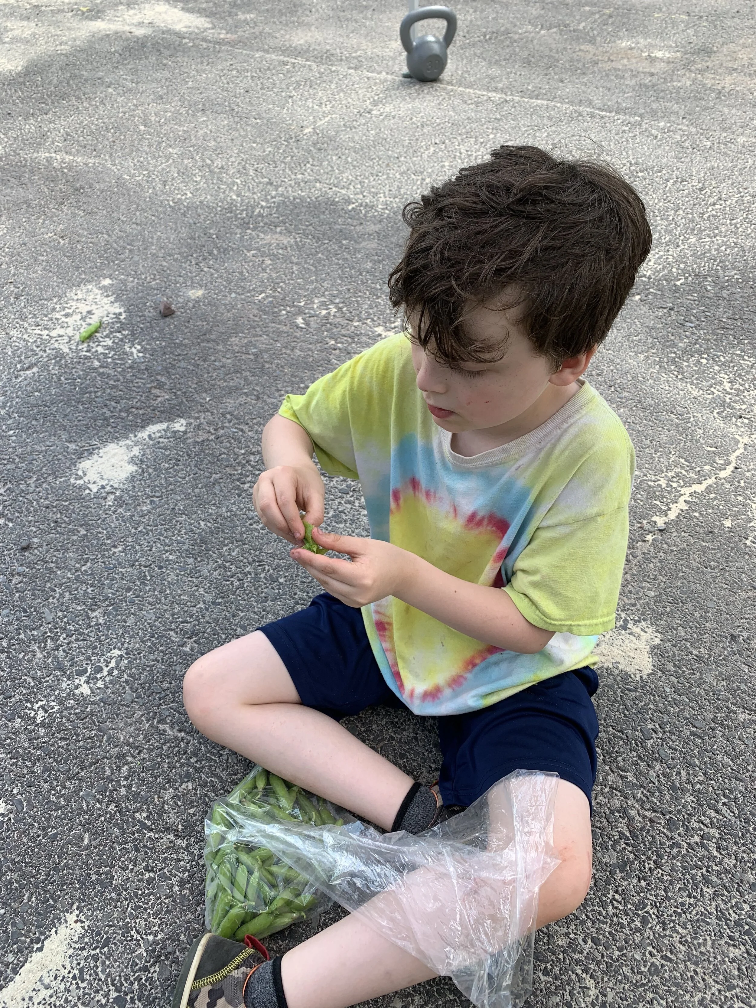 sam eats peas.jpeg