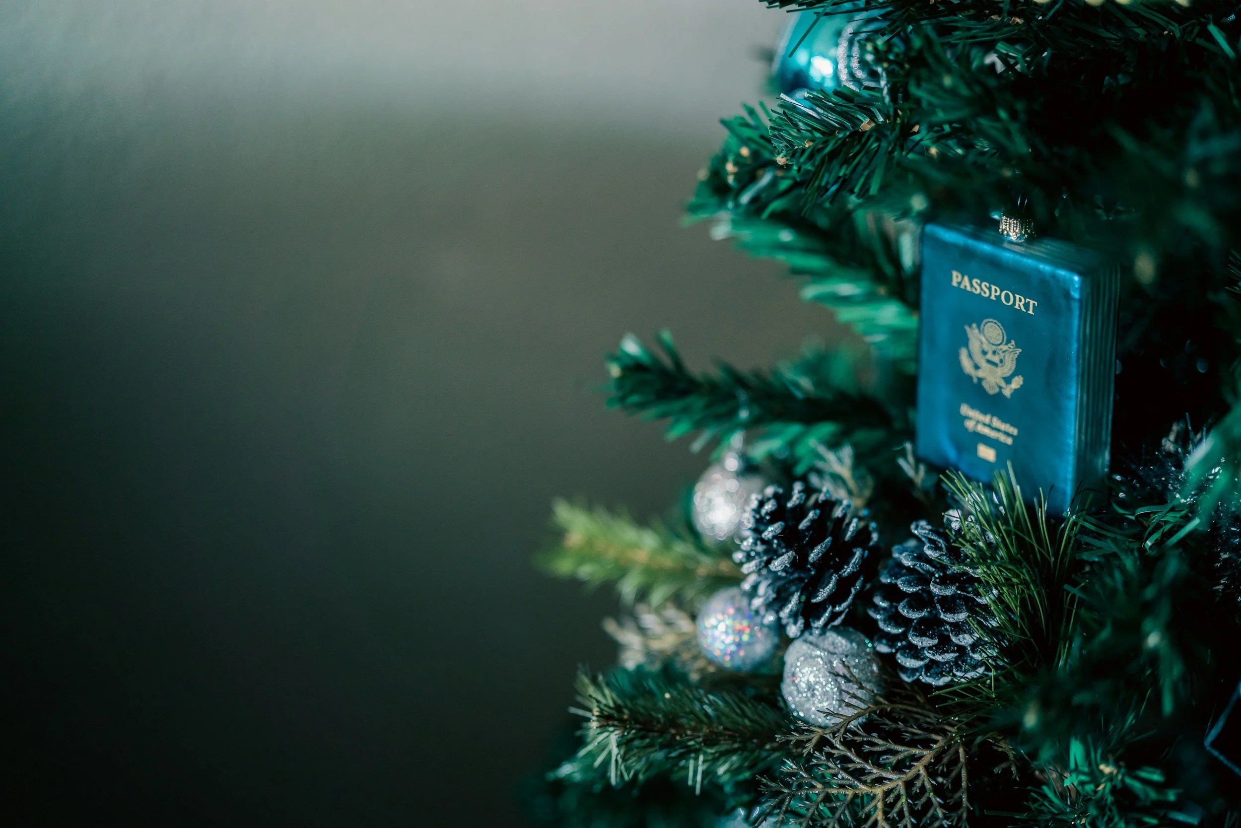 U.S. Holiday Sales 2025: Why the Apparel Supply Chain Should Care