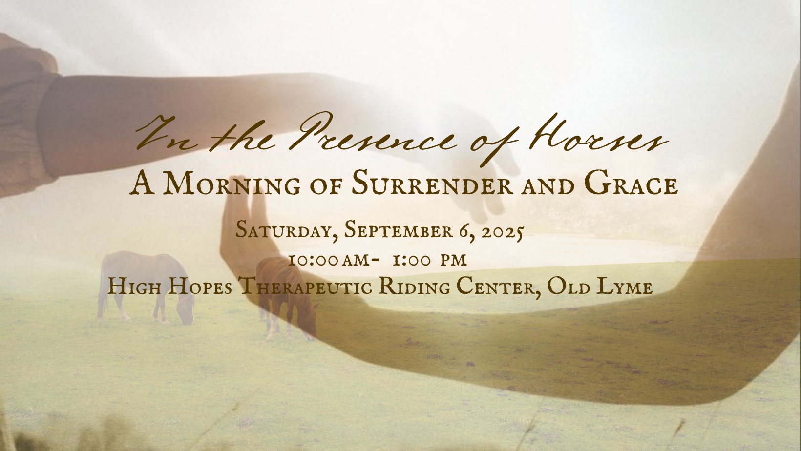 In the Presence of Horses: A Morning of Surrender and Grace