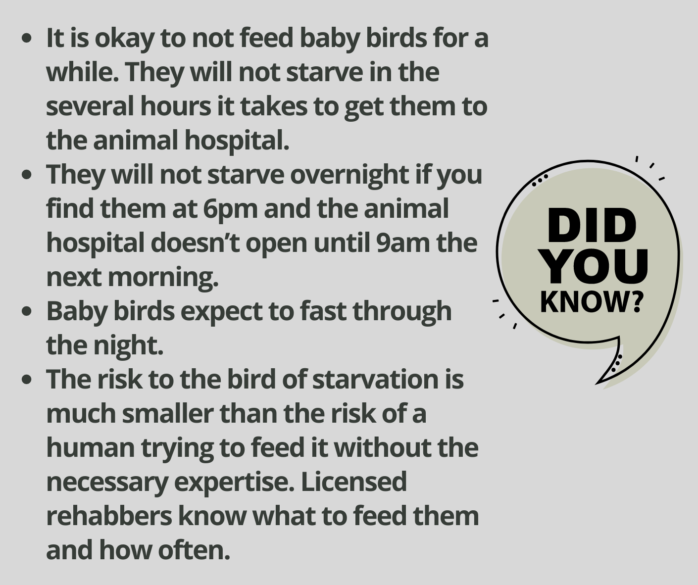 Animal Rescue Tips The Wildlife Rescue Kit Every Car Needs — Friends of the Forest