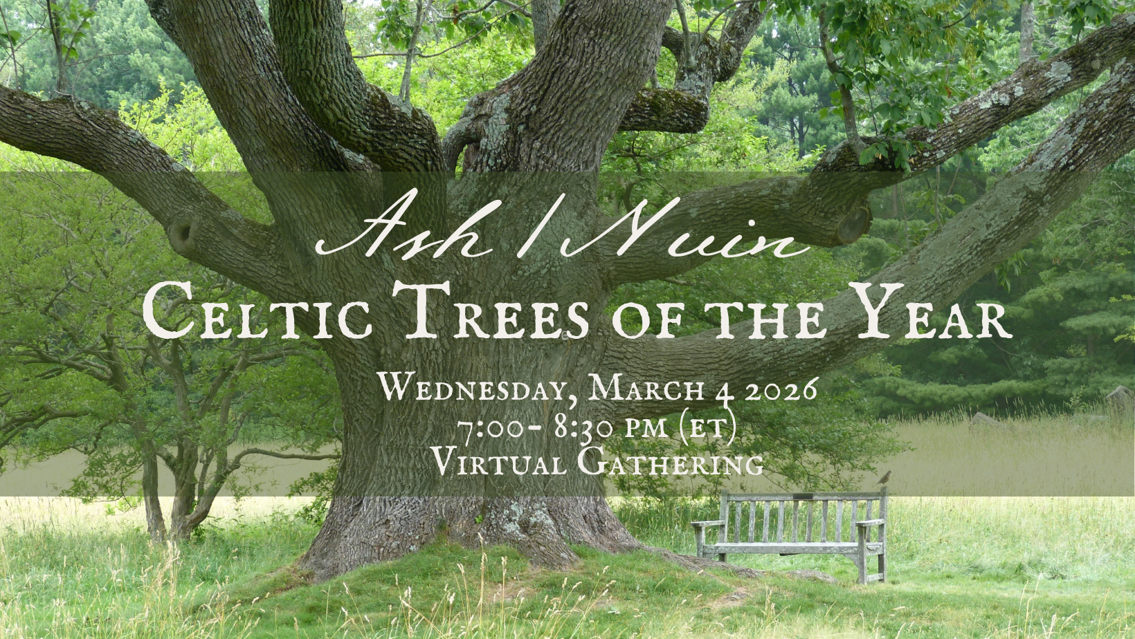 Sacred Trees of the Celtic Wheel: Ash, Tree of  Wisdom, Divine Connection, Transformation
