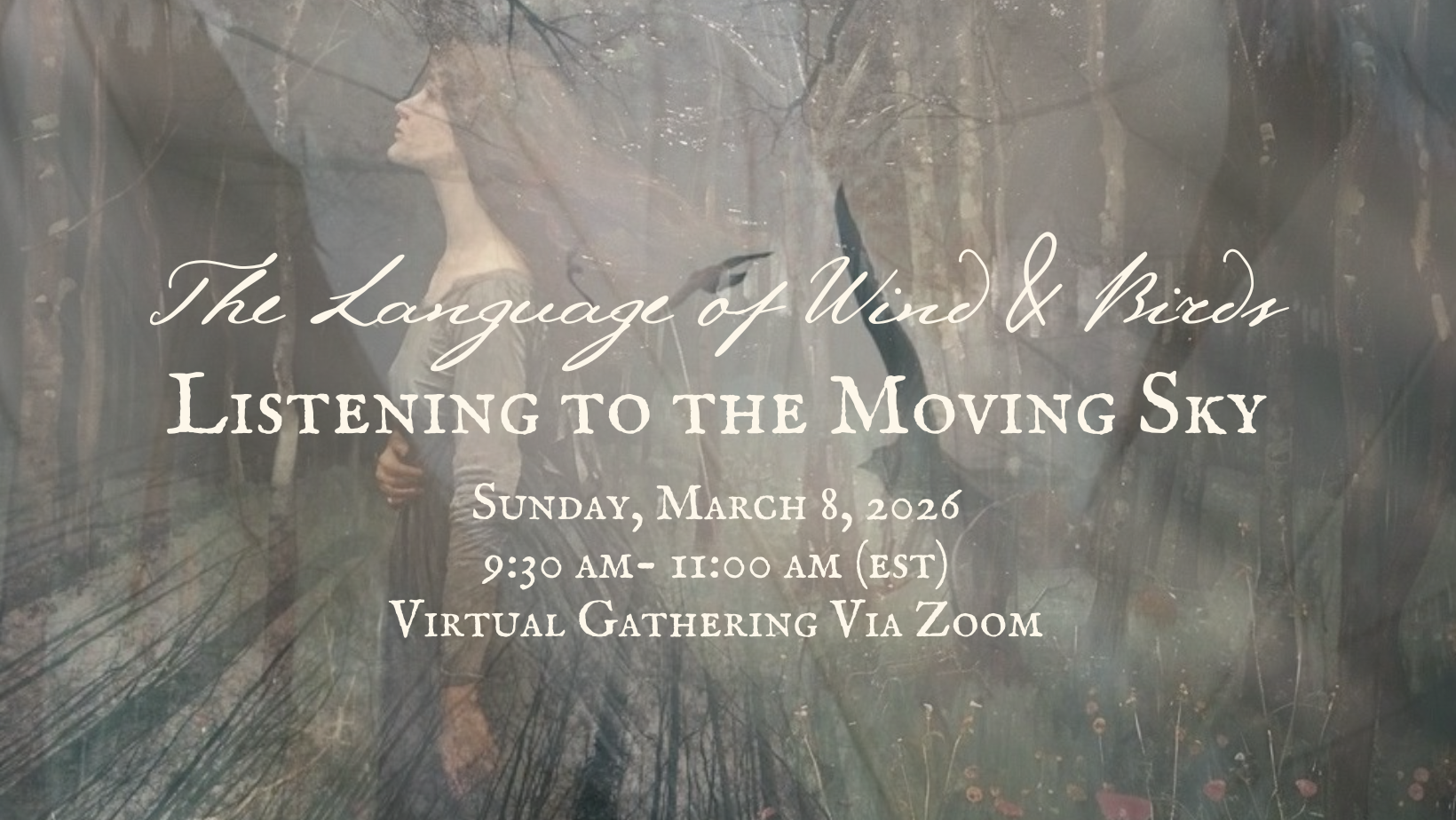 The Language of Wind &amp; Birds: Listening to the Moving Sky