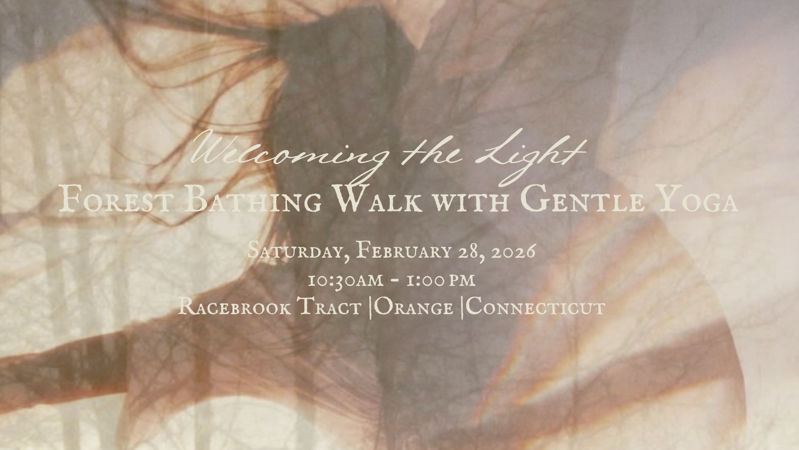 Forest Bathing Walk with Gentle Yoga (THREE SPACES REMAIN)