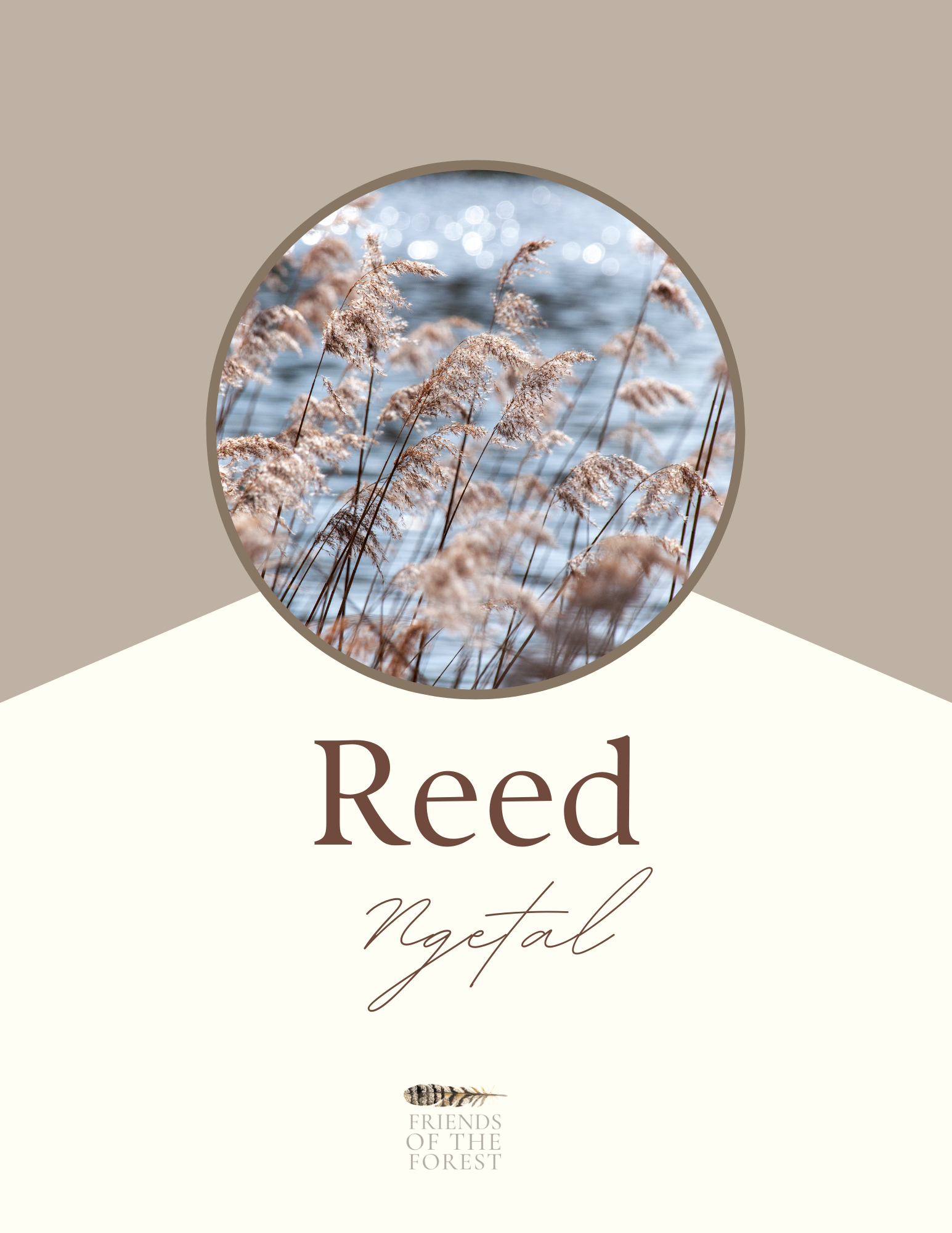 Reed: Sacred Trees of the Celtic Wheel