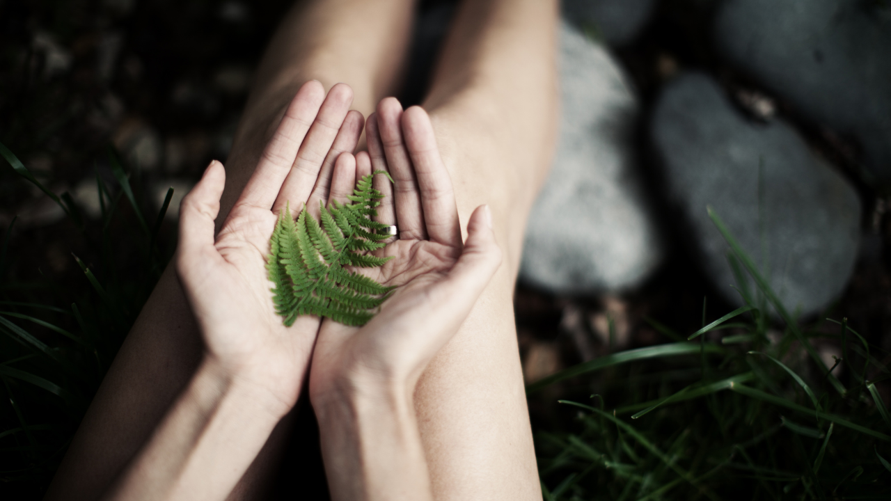 Finding Empowerment In Nature's Patterns — Friends of the Forest