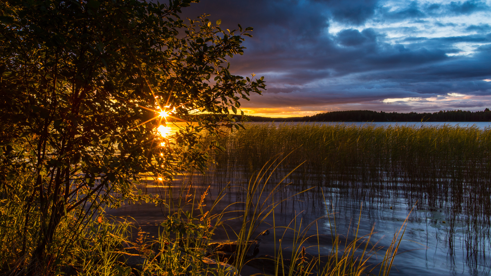 August: A Time for Reflection, Harvest, and New Beginnings — Friends of ...