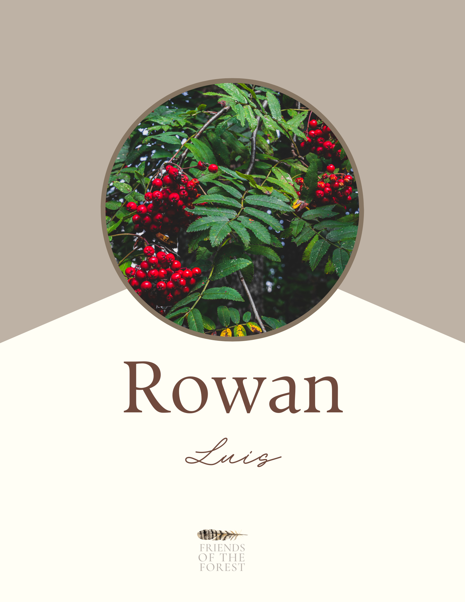 Rowan.png