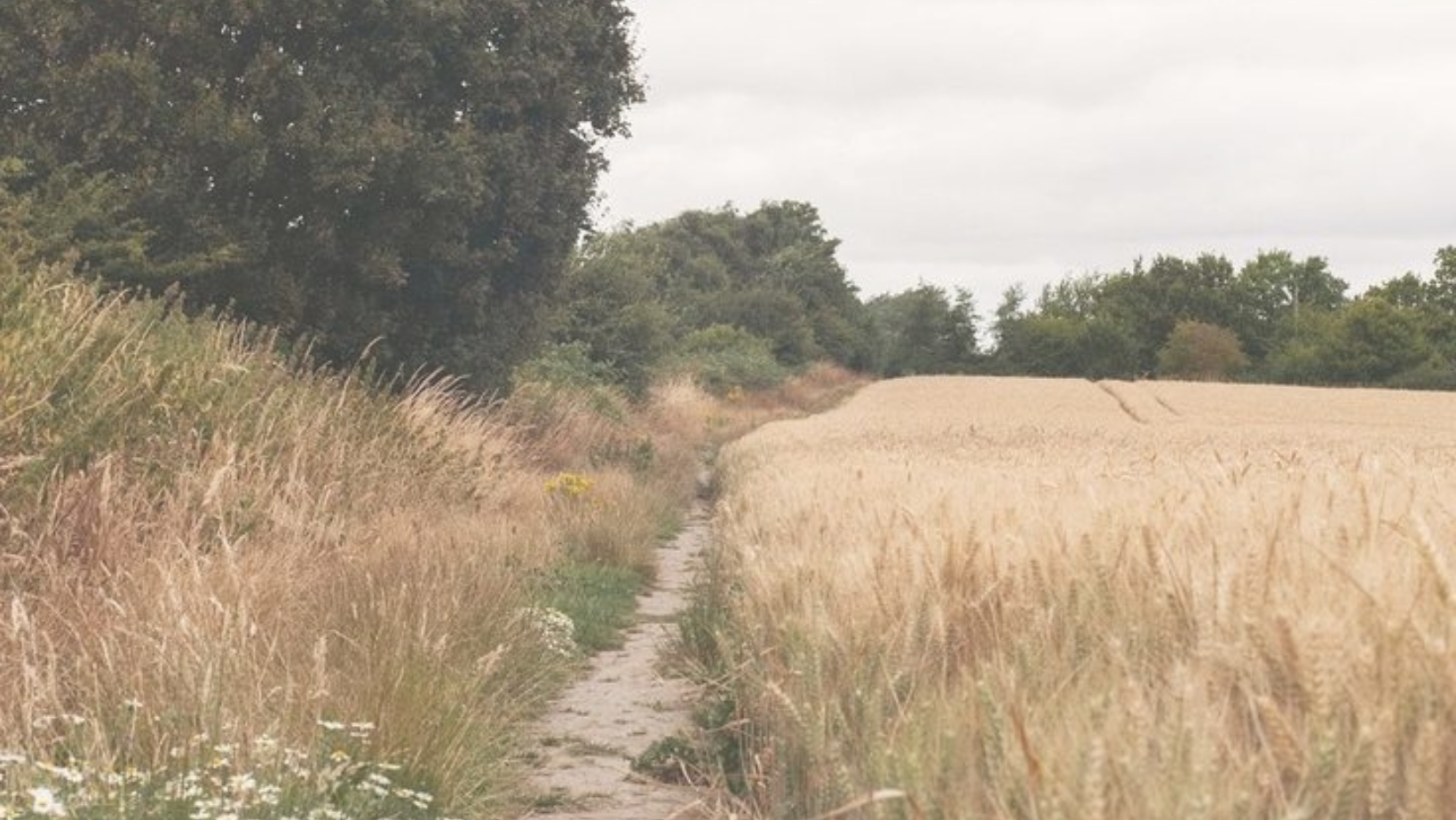 Living in the Between: A Woman’s August