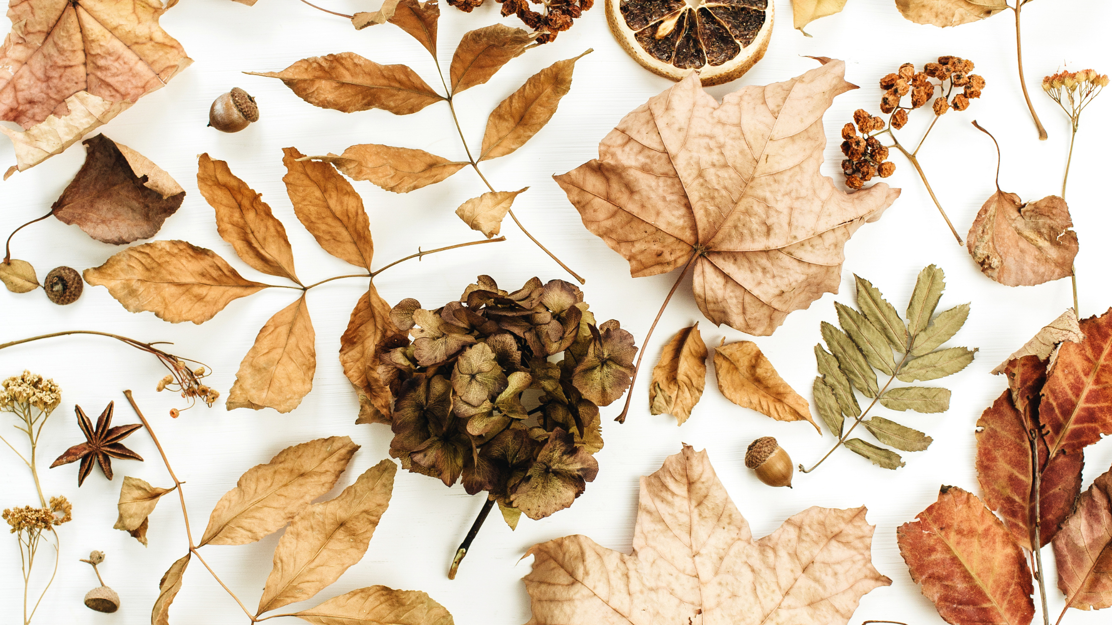 Embracing the Slow Rhythms of September: A Time for Reflection and ...