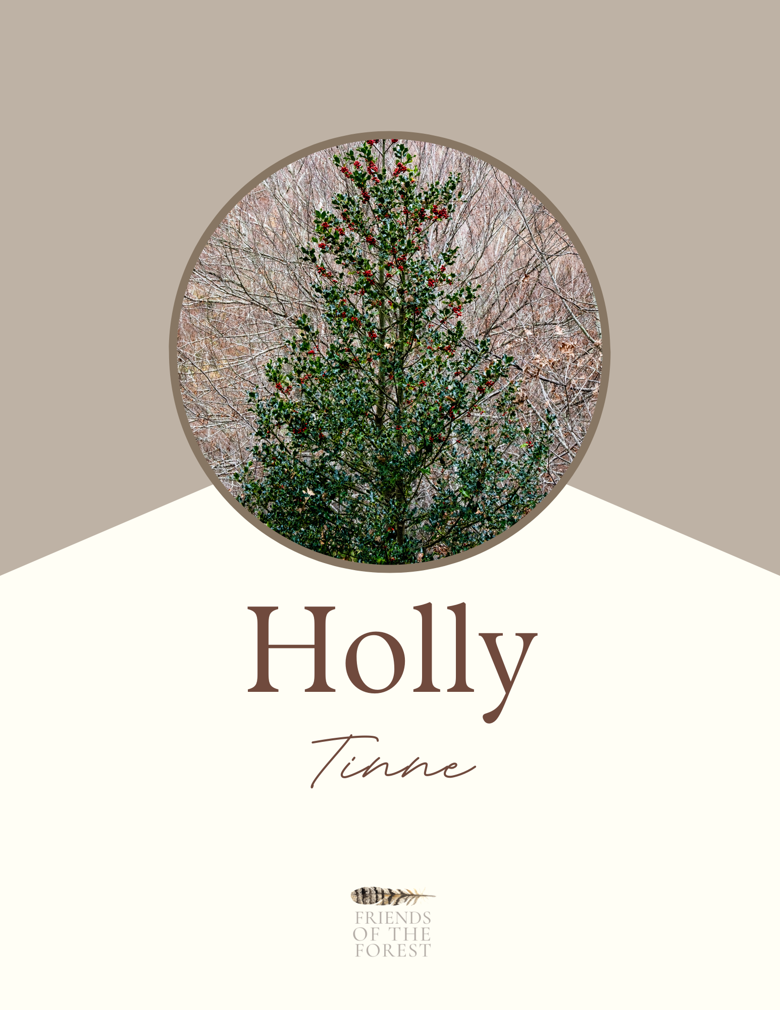 Holly.png