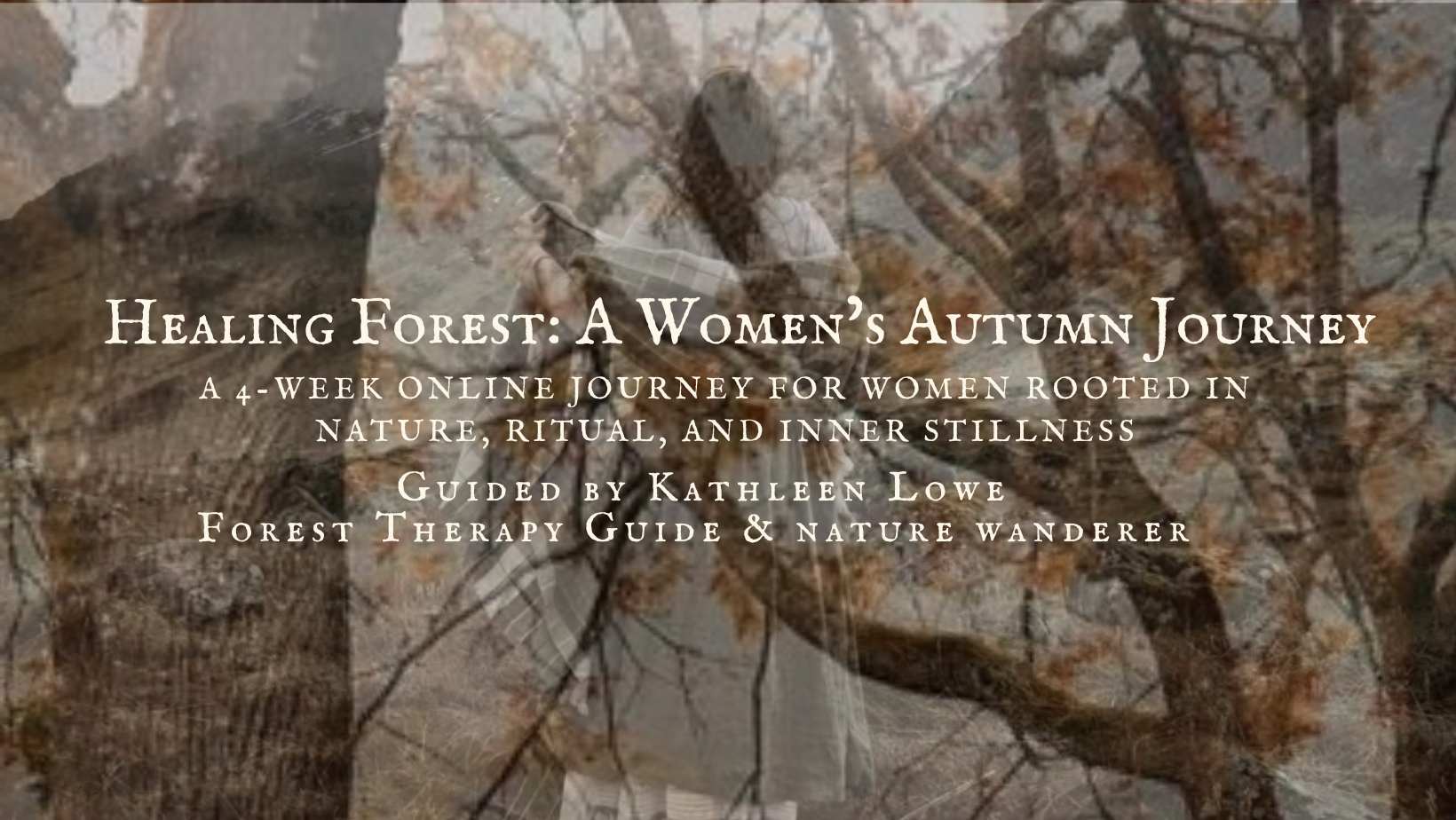 Healing Forest: A Women’s Autumn Journey (ONLINE SERIES)