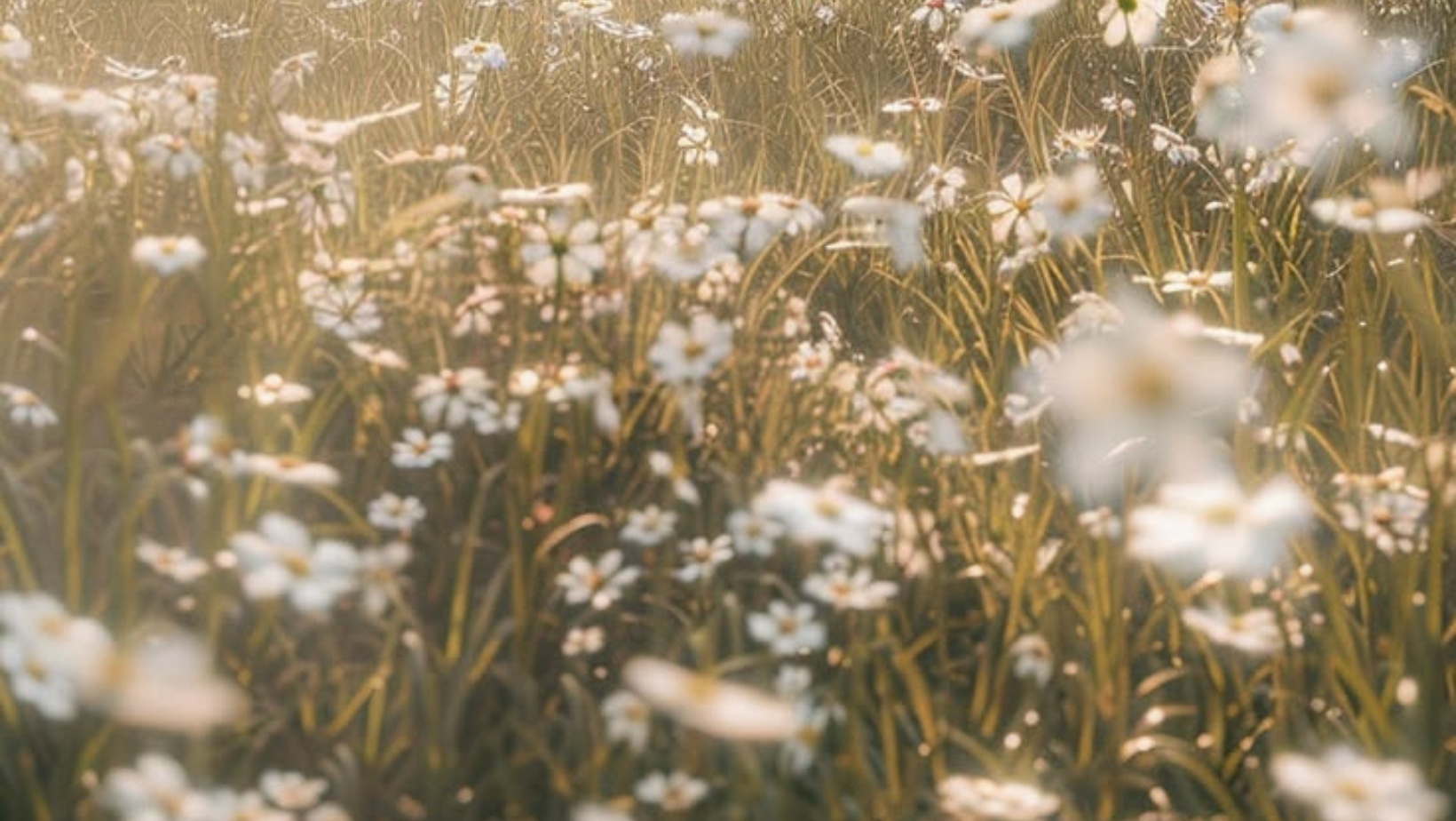 You Don't Have to Practice Mindfulness in Nature