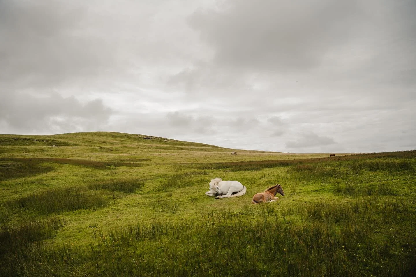 Starting this September, I&rsquo;ll be moving to Scotland for one year to pursue graduate studies in international education. This marks an exciting new chapter both personally and creatively, and I couldn&rsquo;t be more excited.

Parallel with this