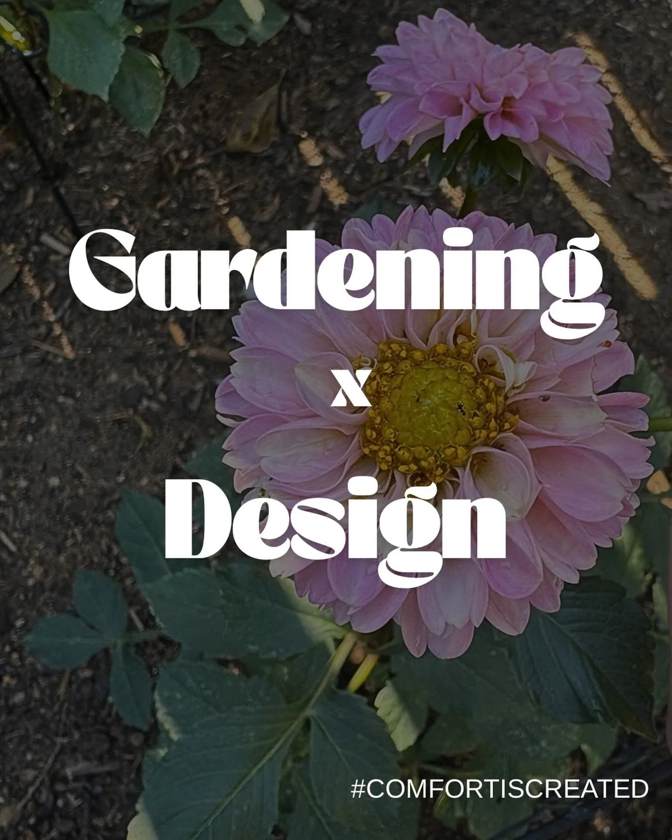 What gardening taught me about design🏡

Gardening has a way of reminding me that beauty rarely happens all at once. It&rsquo;s grown, layered, tended.
And that&rsquo;s exactly how I approach design.

The colors, textures, and rhythms I see out here 