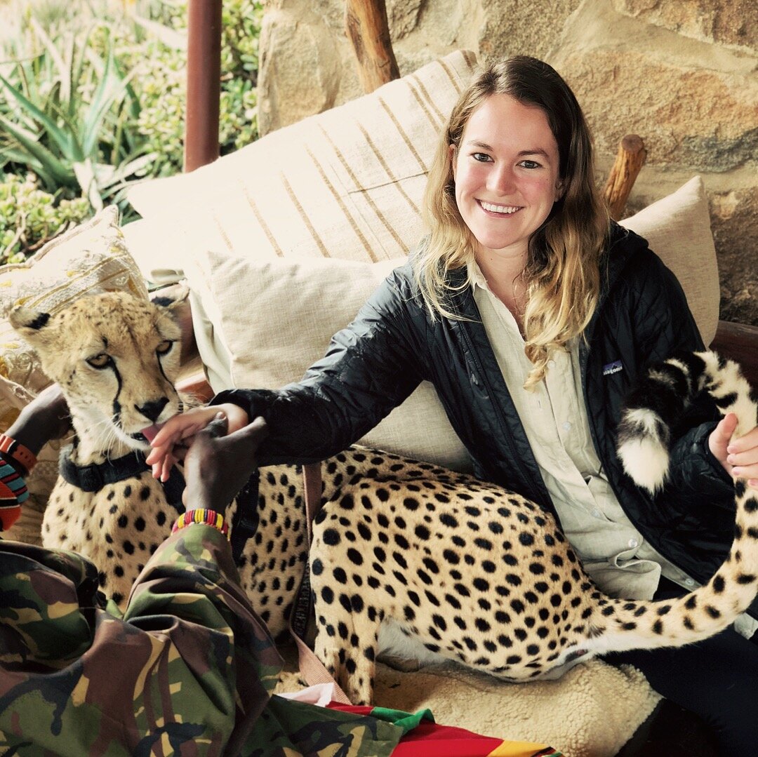 Kenya cheetah.JPG